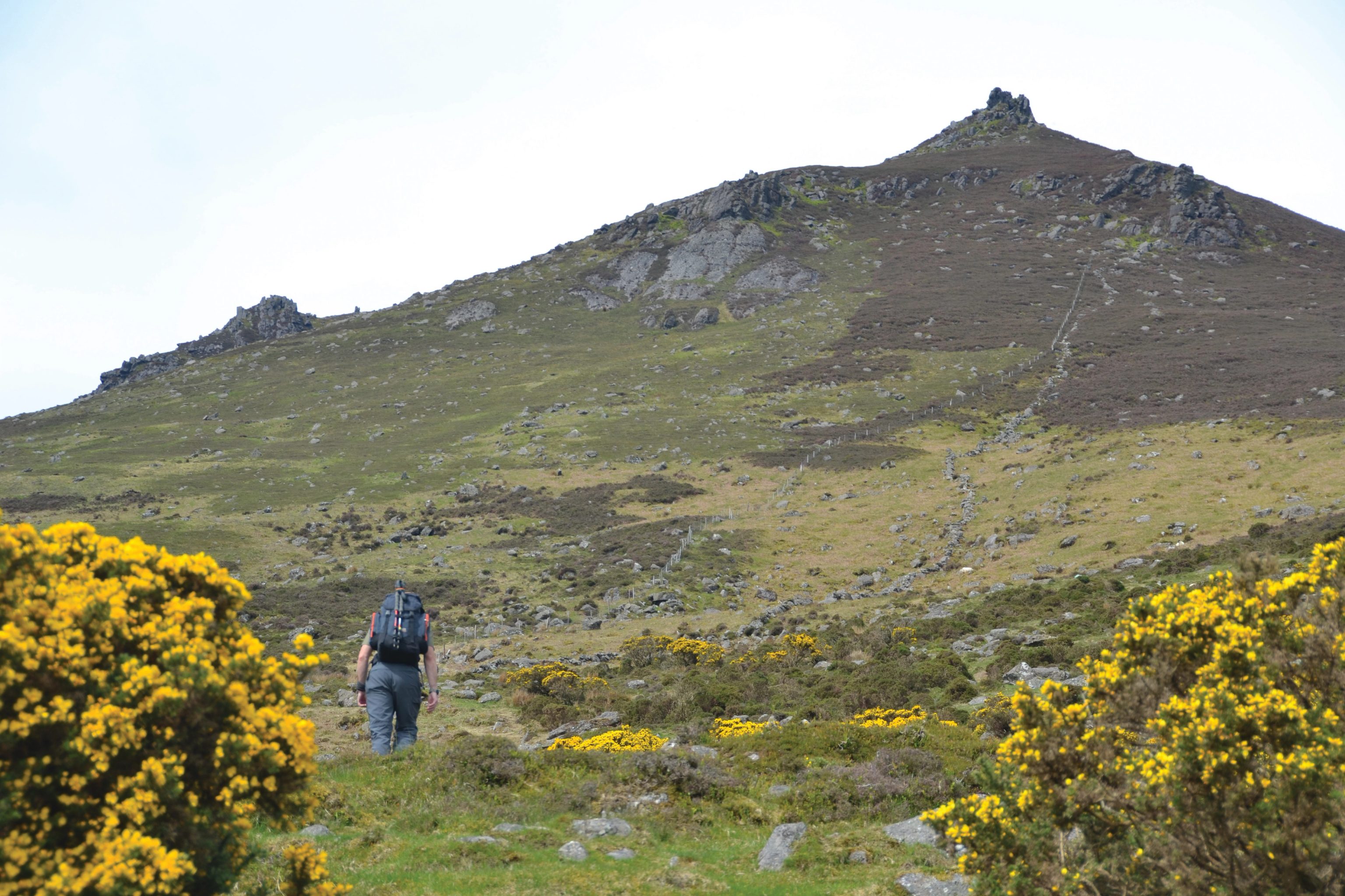 comeragh mountains (3)