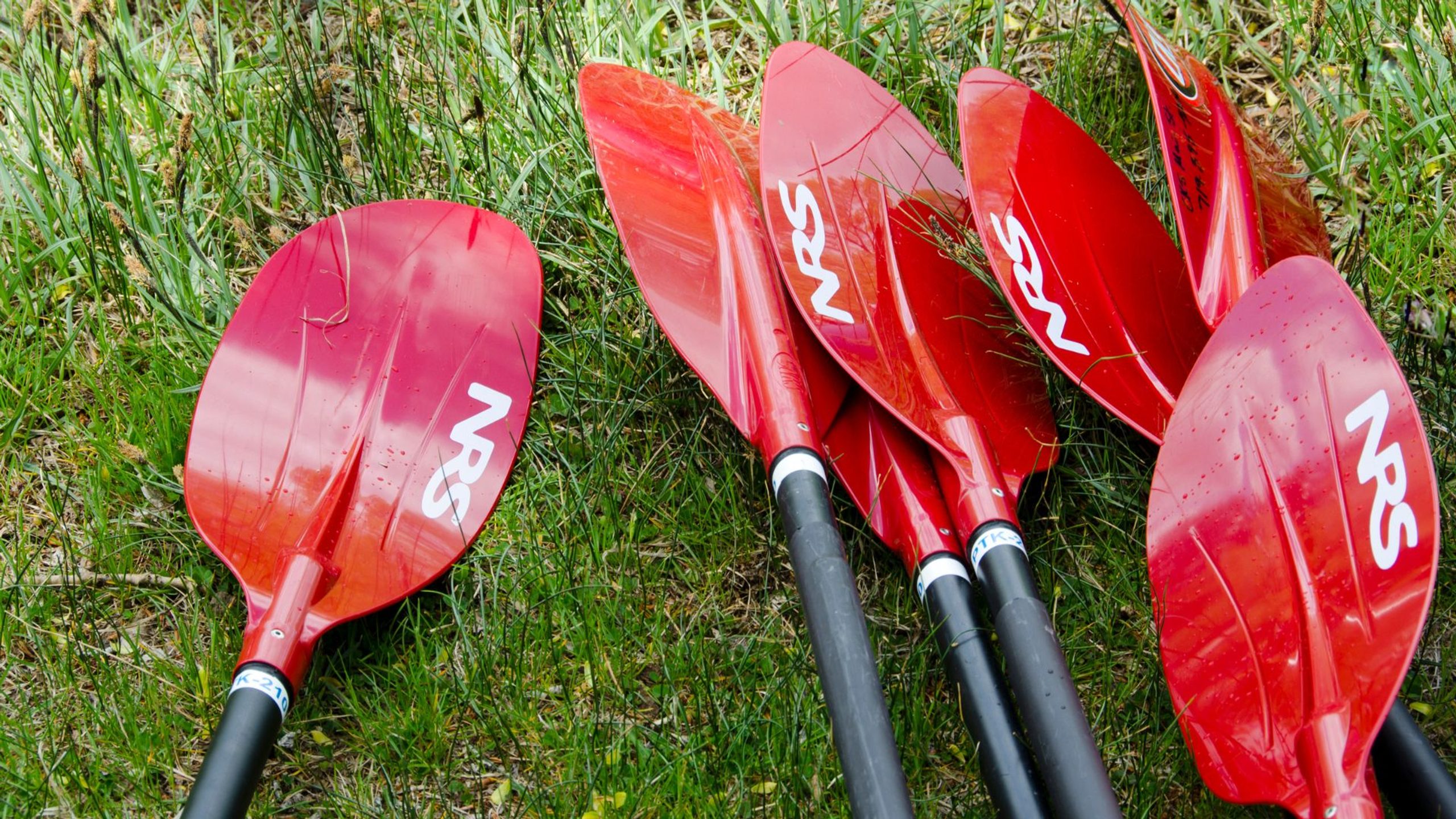 Kayaking Gear Paddles
