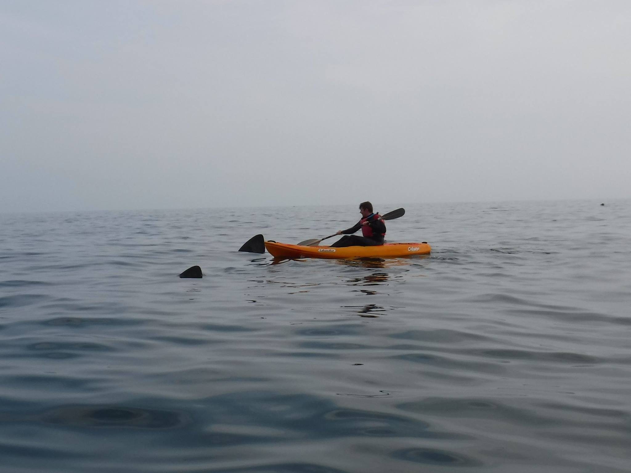 Things to do in Waterford