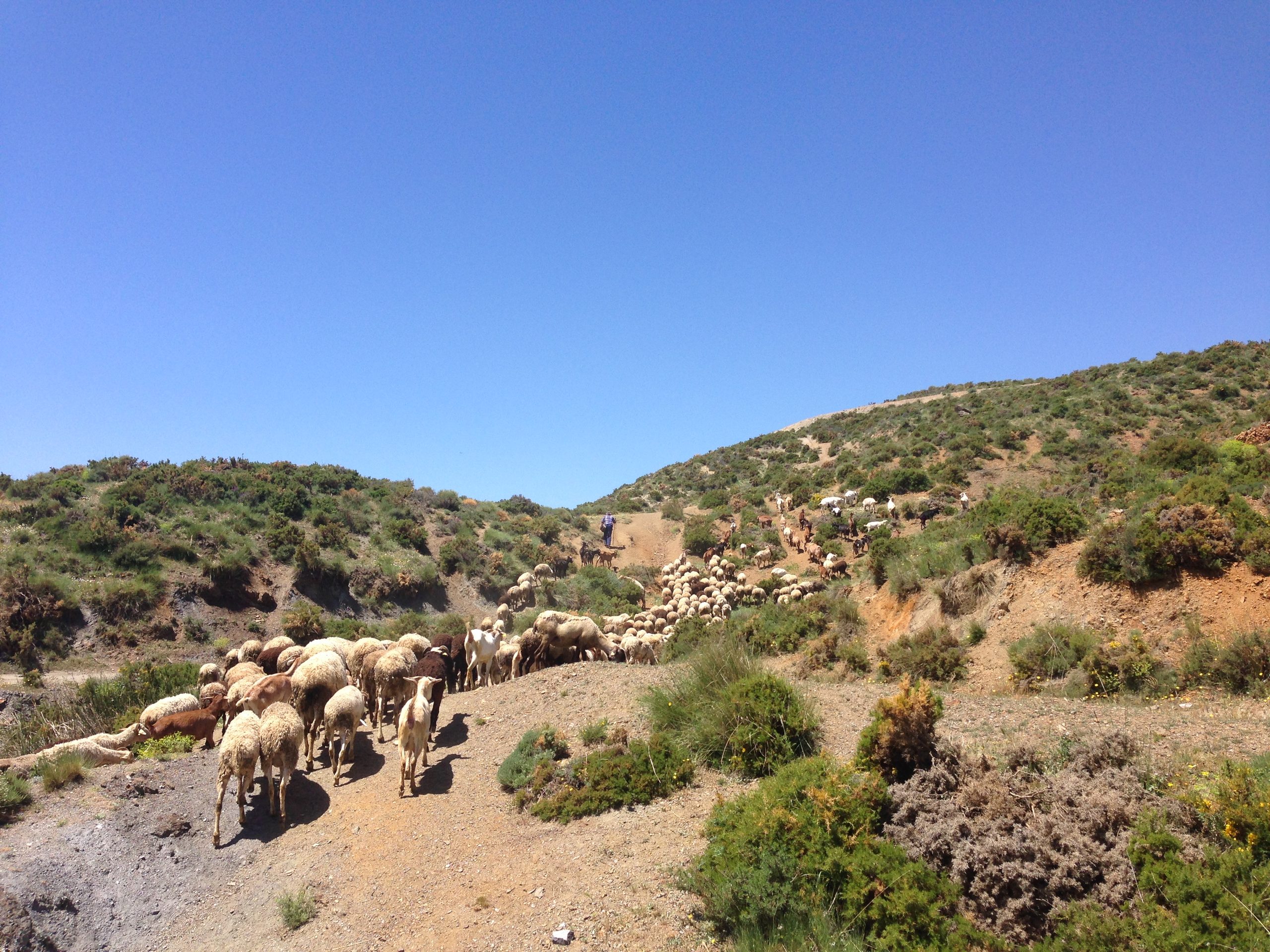 Mountain biking in Sierra Nevada