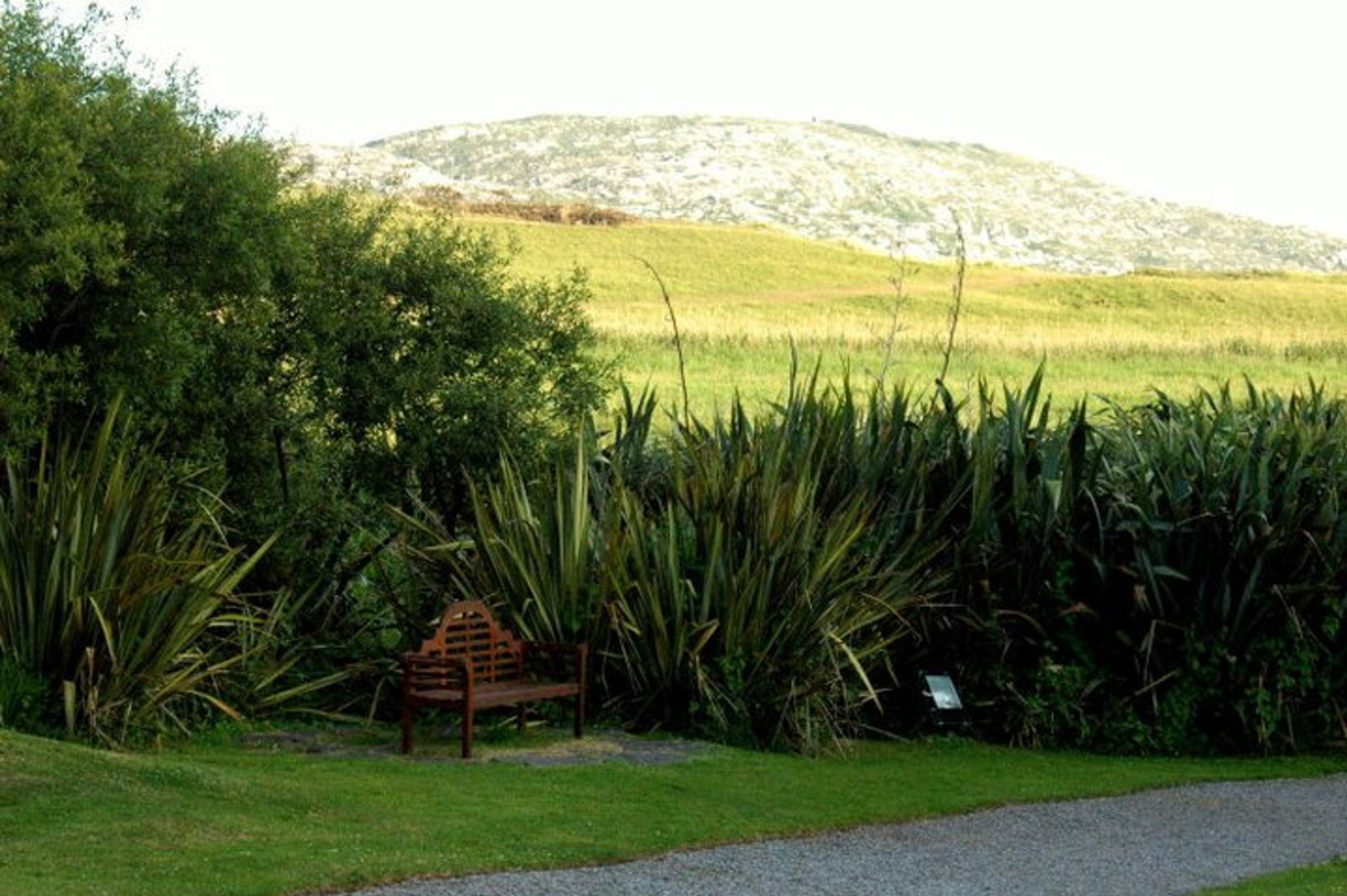 Buggy Friendly Walks 