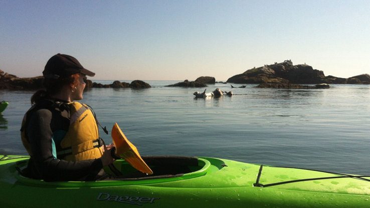 Kayaking around Dalkey island