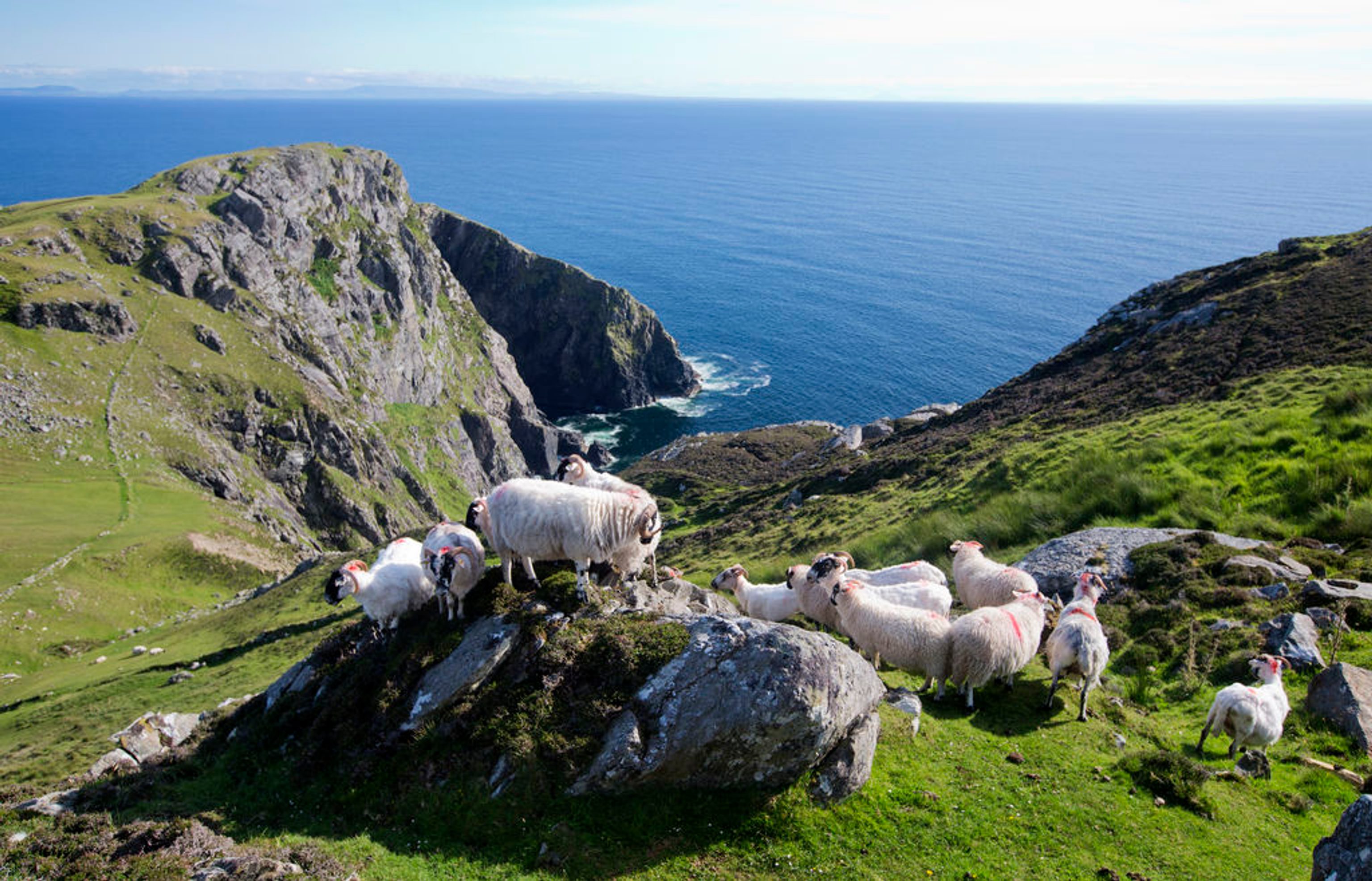 Family Friendly Activities Ireland 