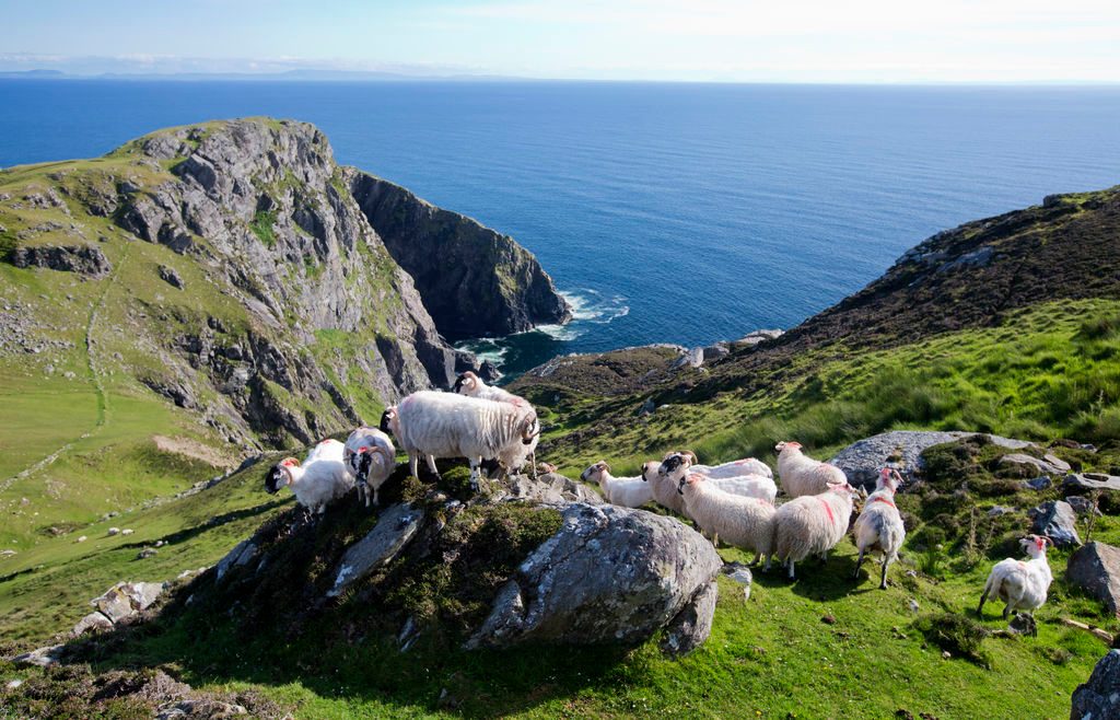 Family Friendly Activities Ireland
