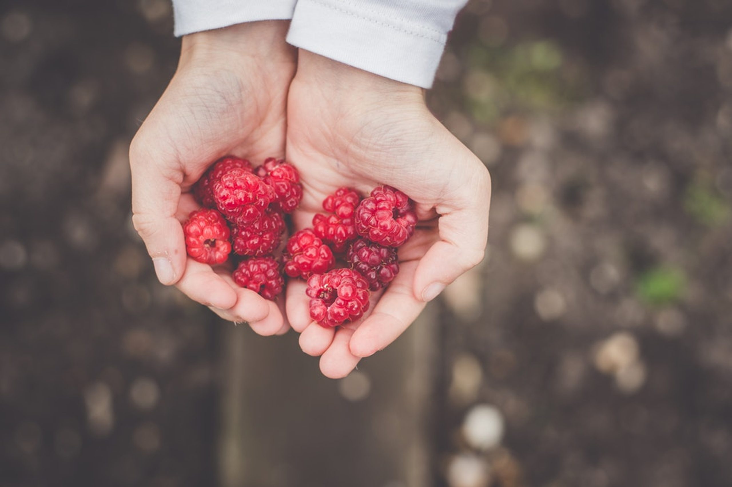 Diet Myths Debunked 