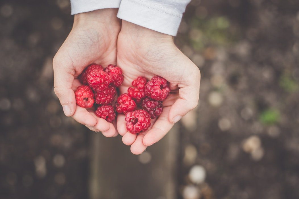 Diet Myths Debunked