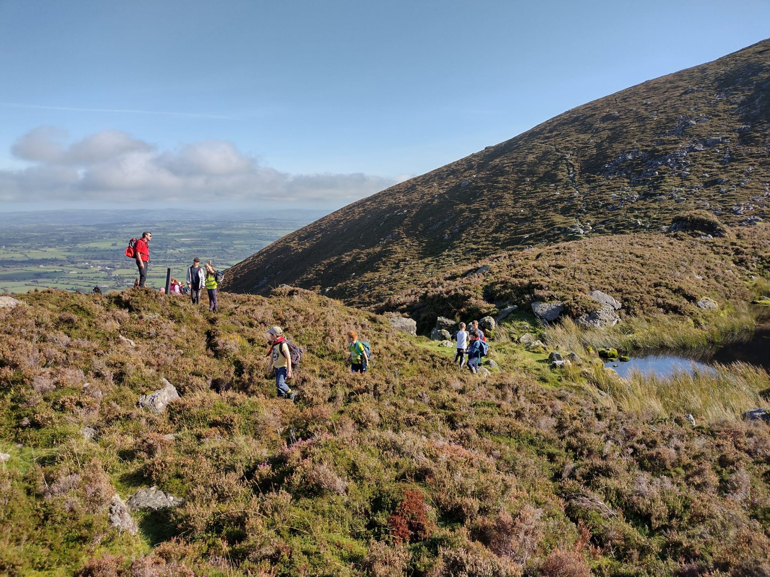Scouting Ireland - Anthony Mullane