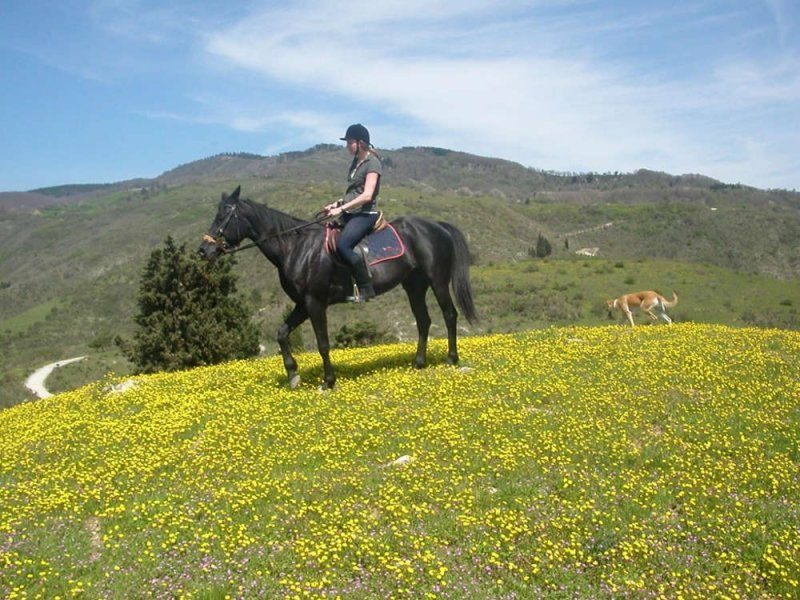 Family Adventure Holidays