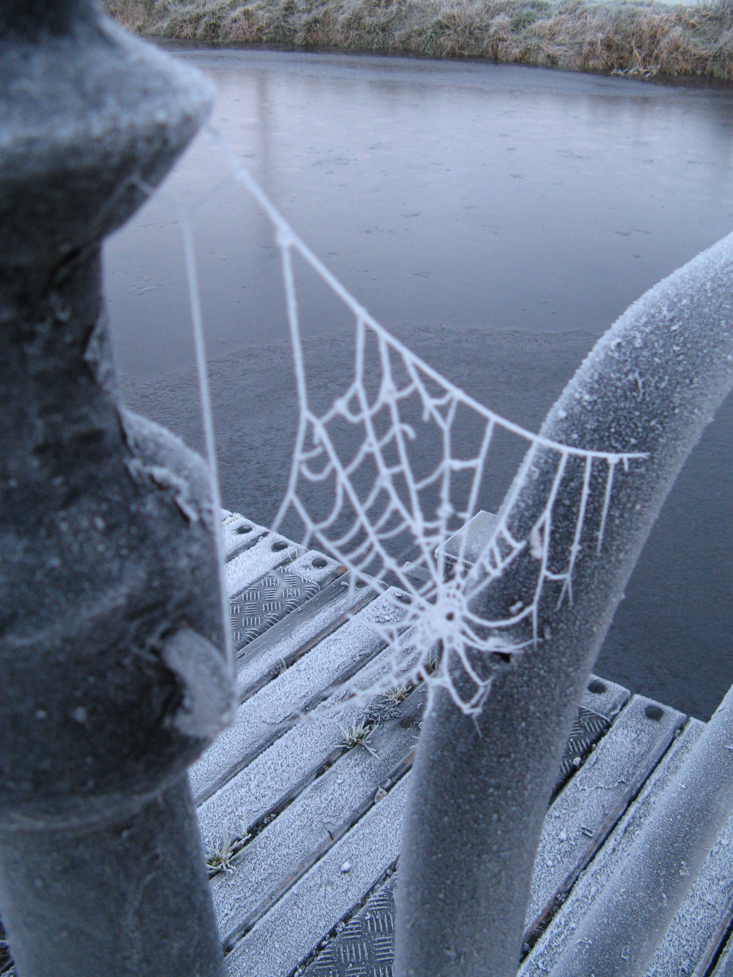 Frozen Grand Canal 