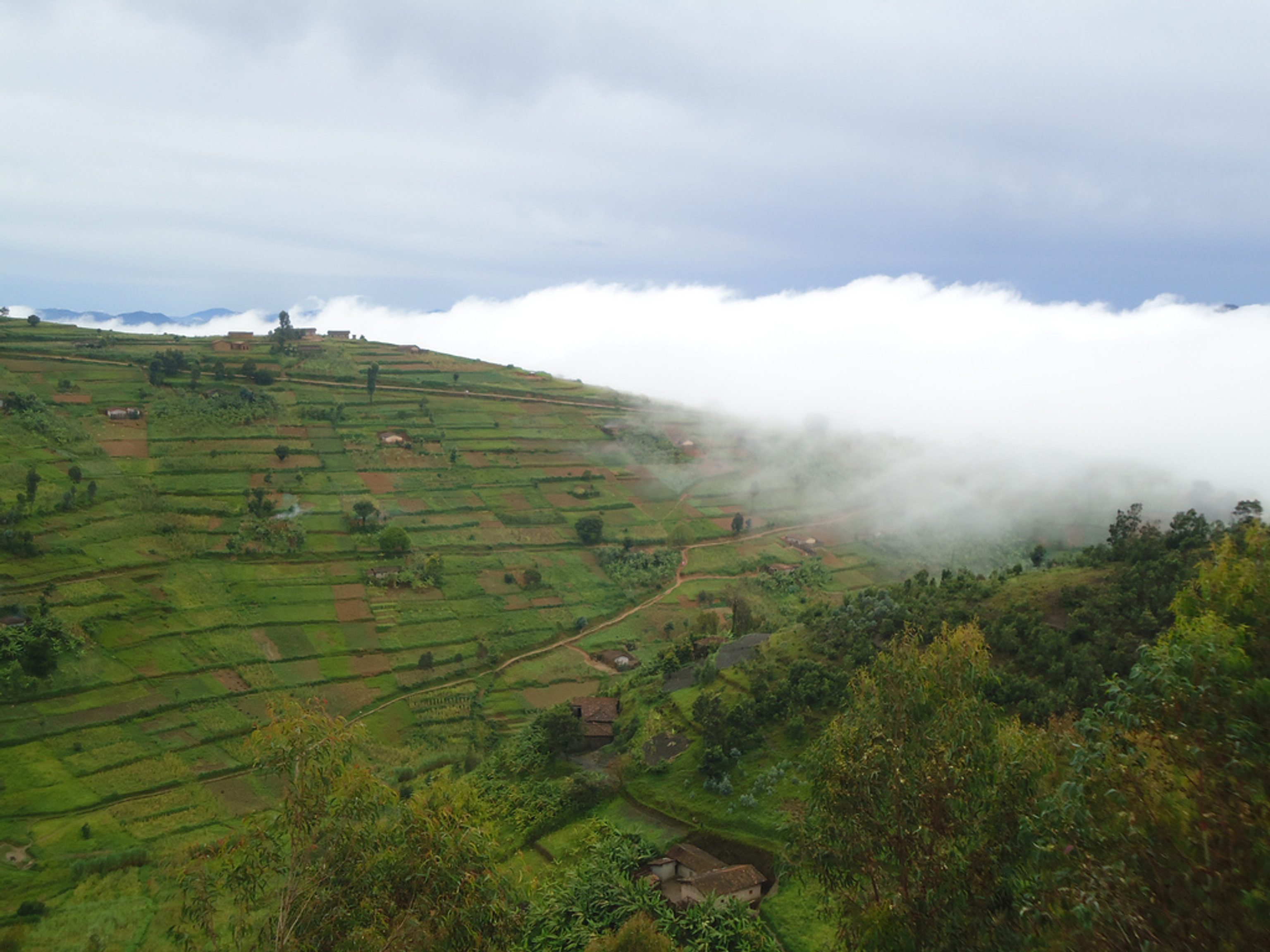 Misty hills near Lake Kivu.