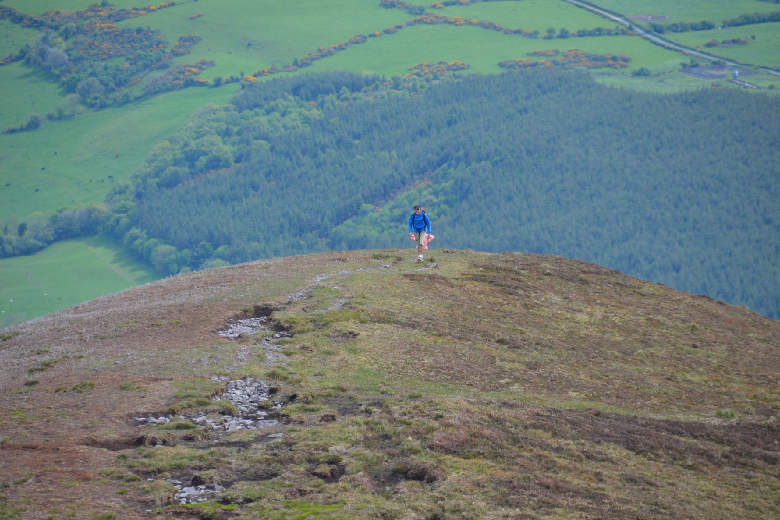 comeragh mountains (5)