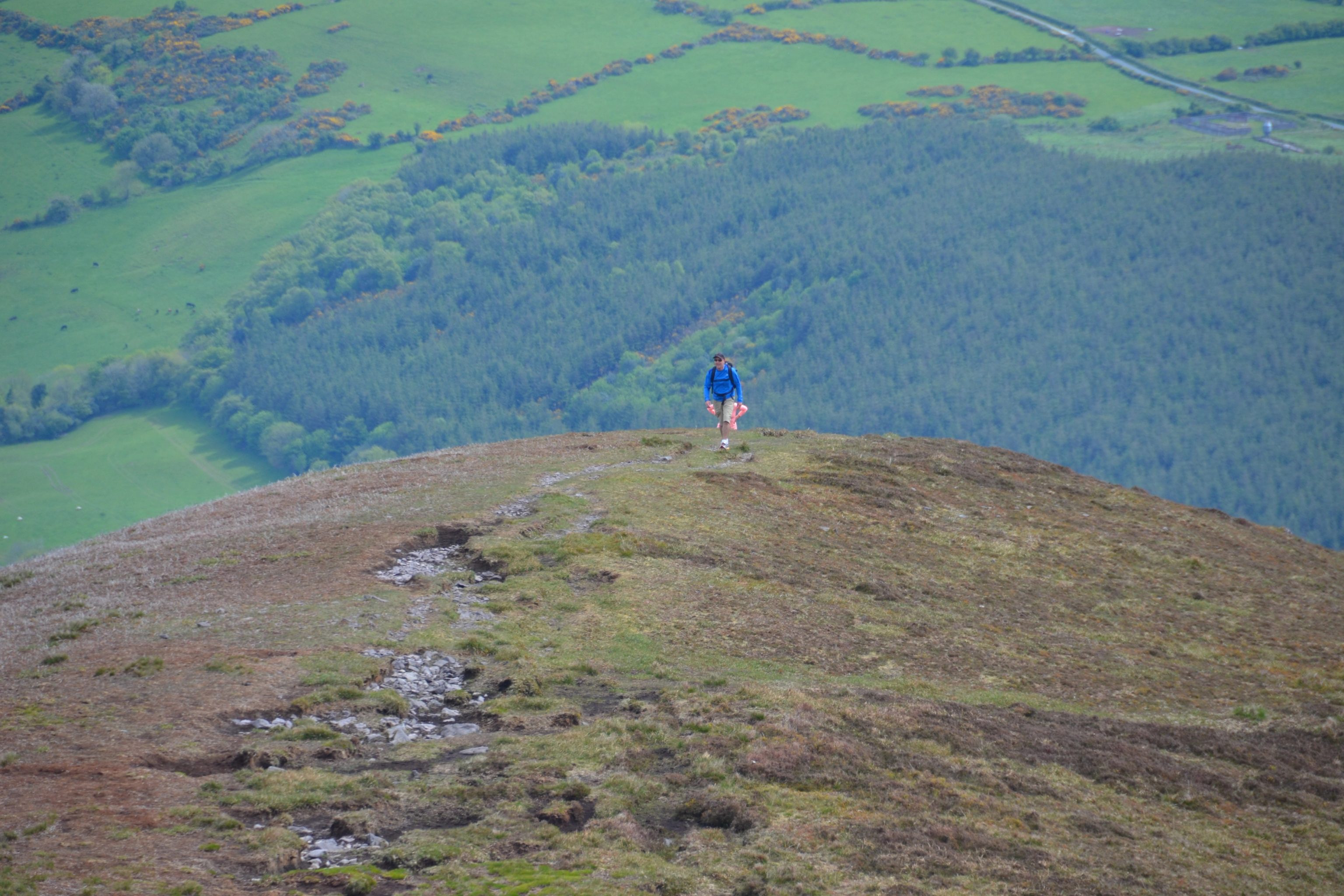 comeragh mountains (5)