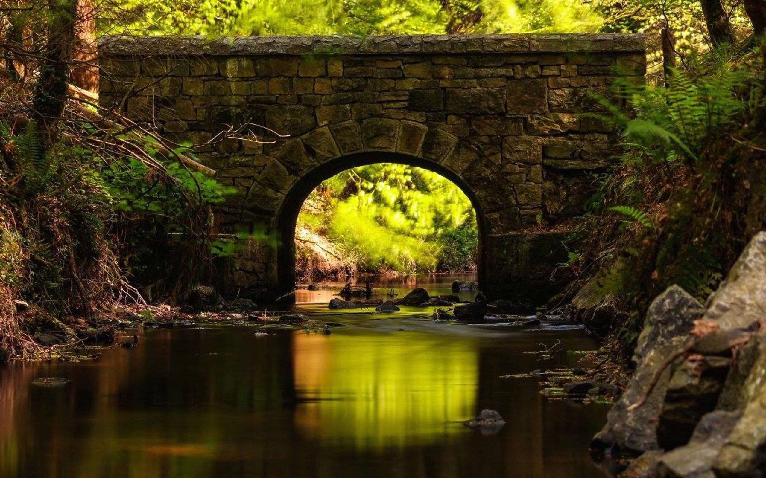 Ireland's Hidden Heartlands Looped Walks