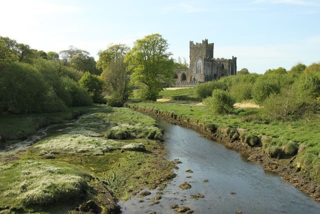 Wexford Walks