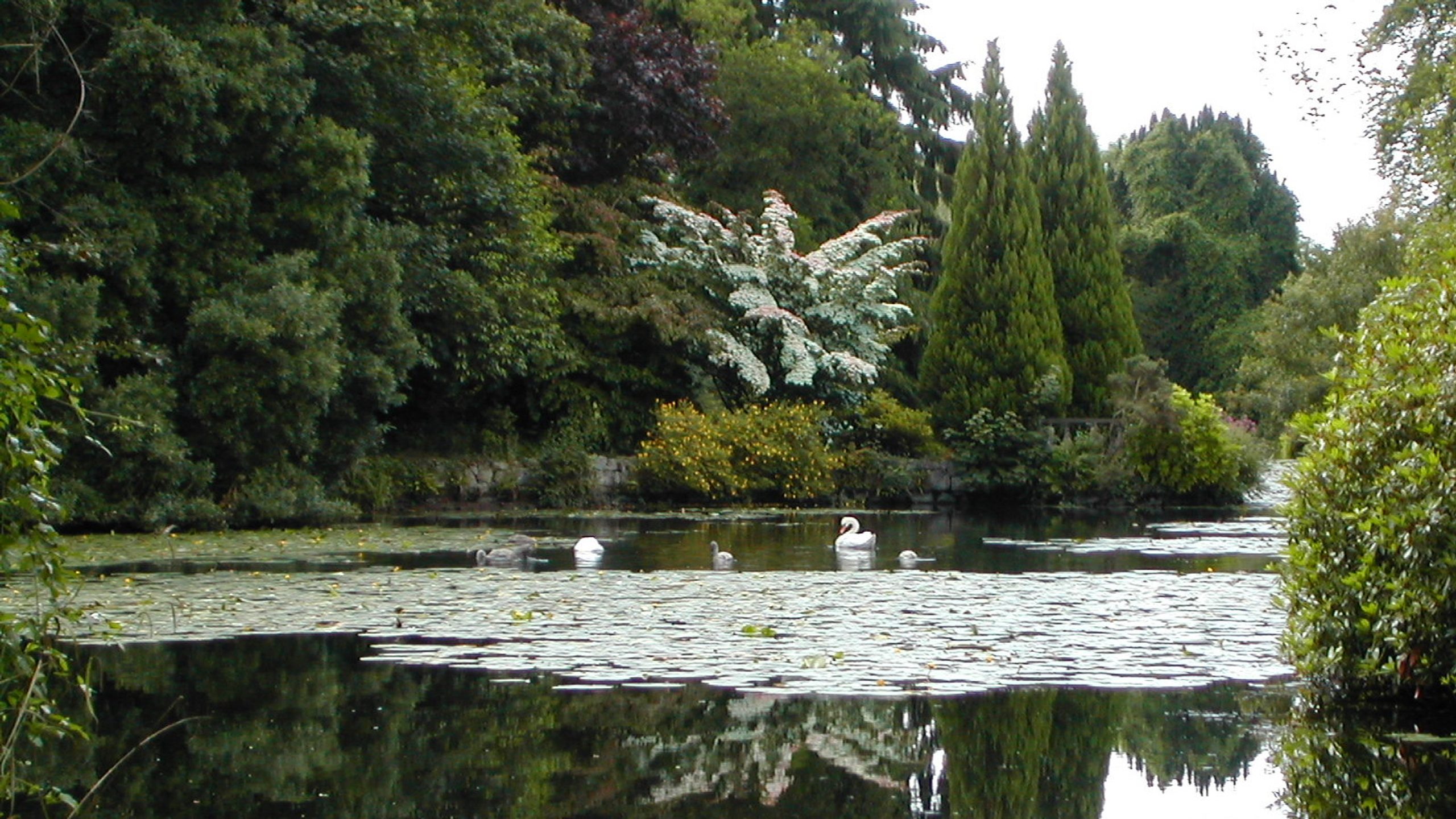 Altamont Gardens: Carlow Tourism
