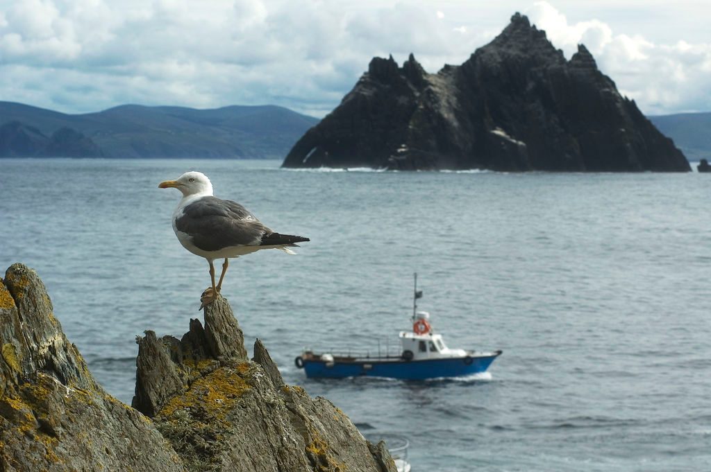 Things to Do in Kerry