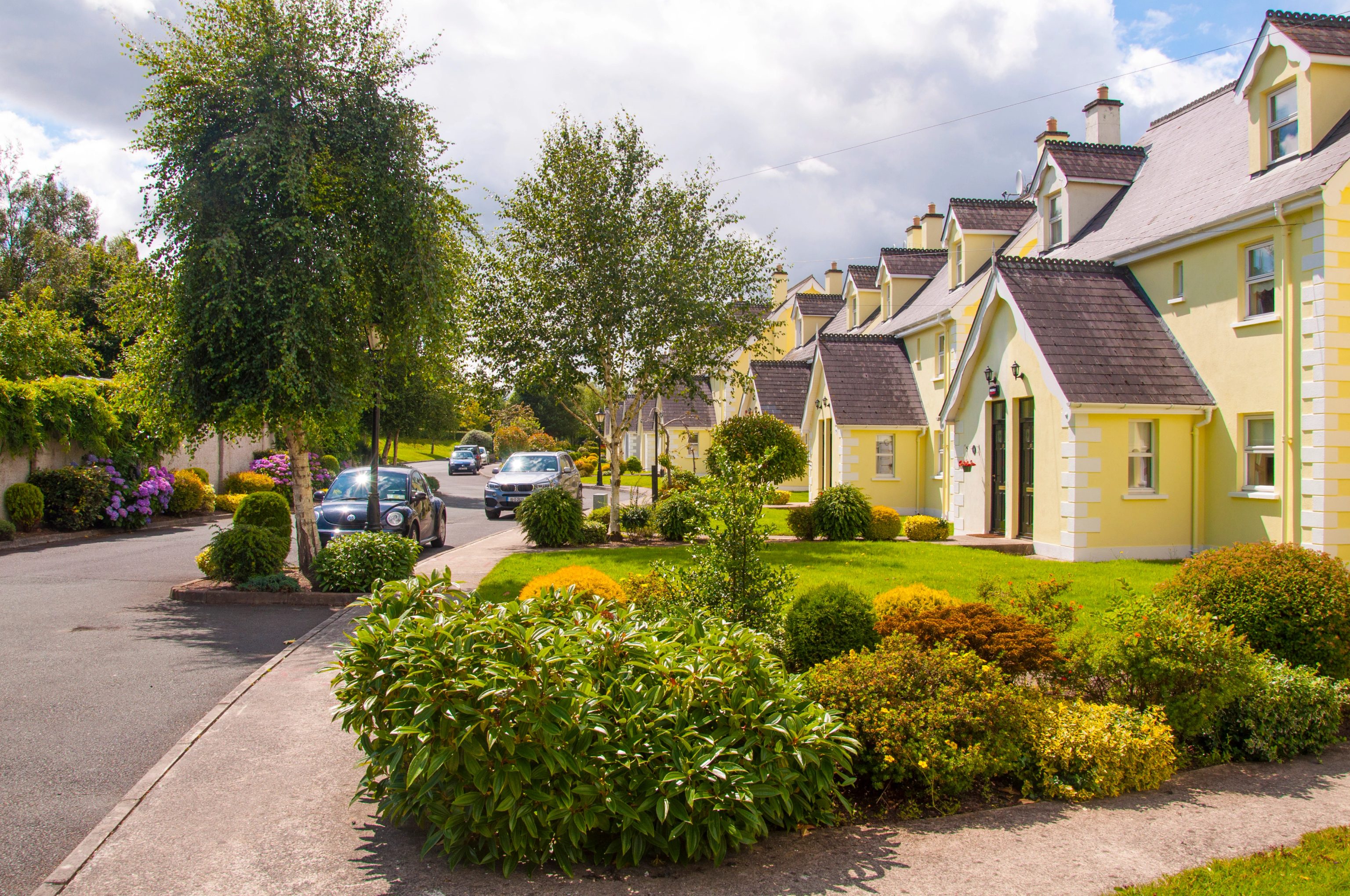 Irish staycation