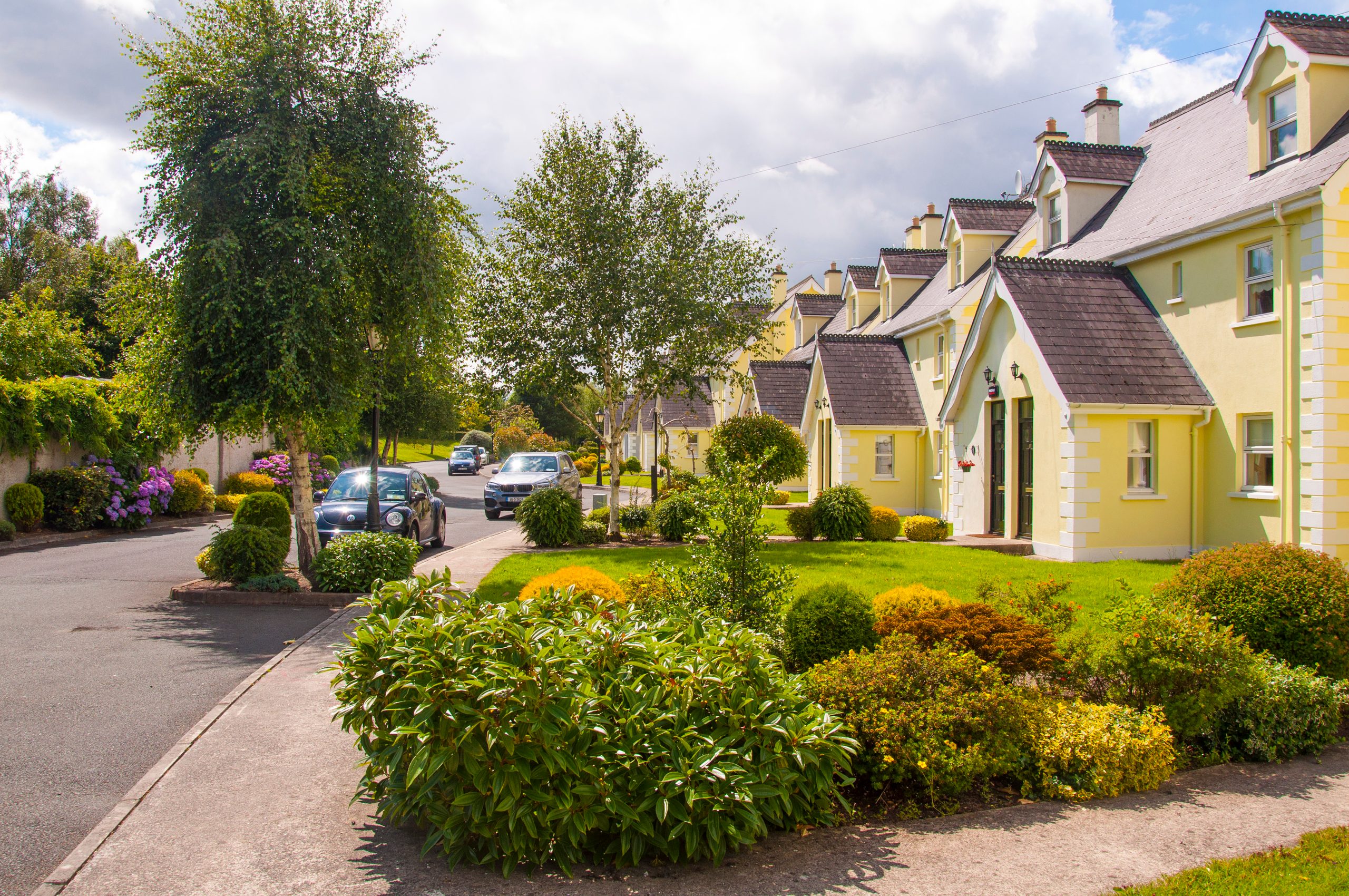 Irish staycation