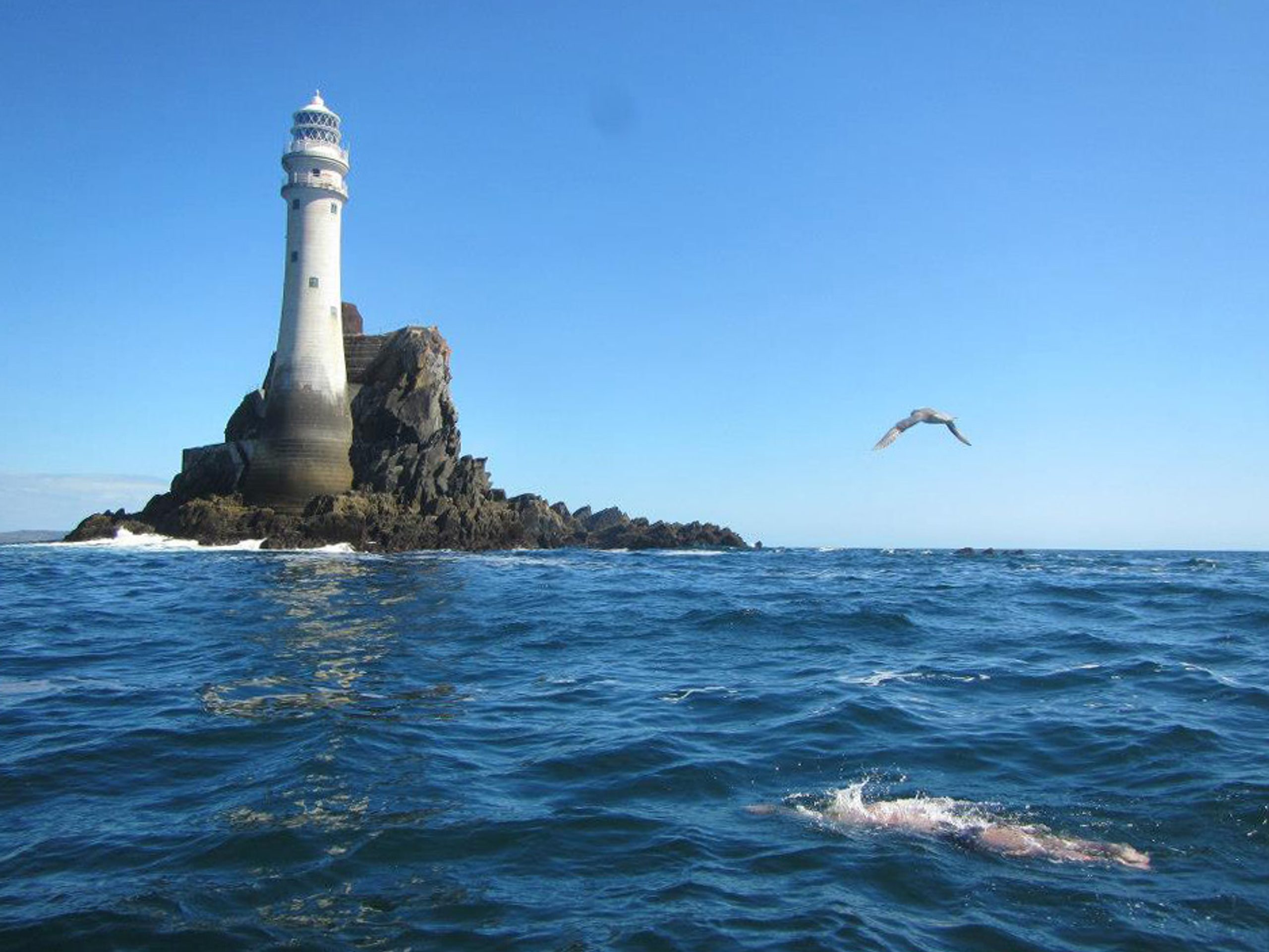 Stephen Redmond Fastnet Swim