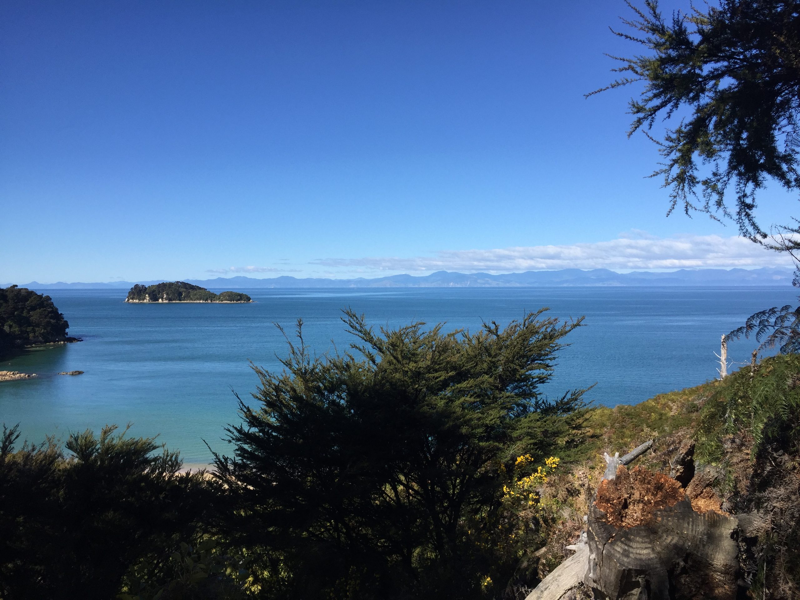 New Zealand Adventures
