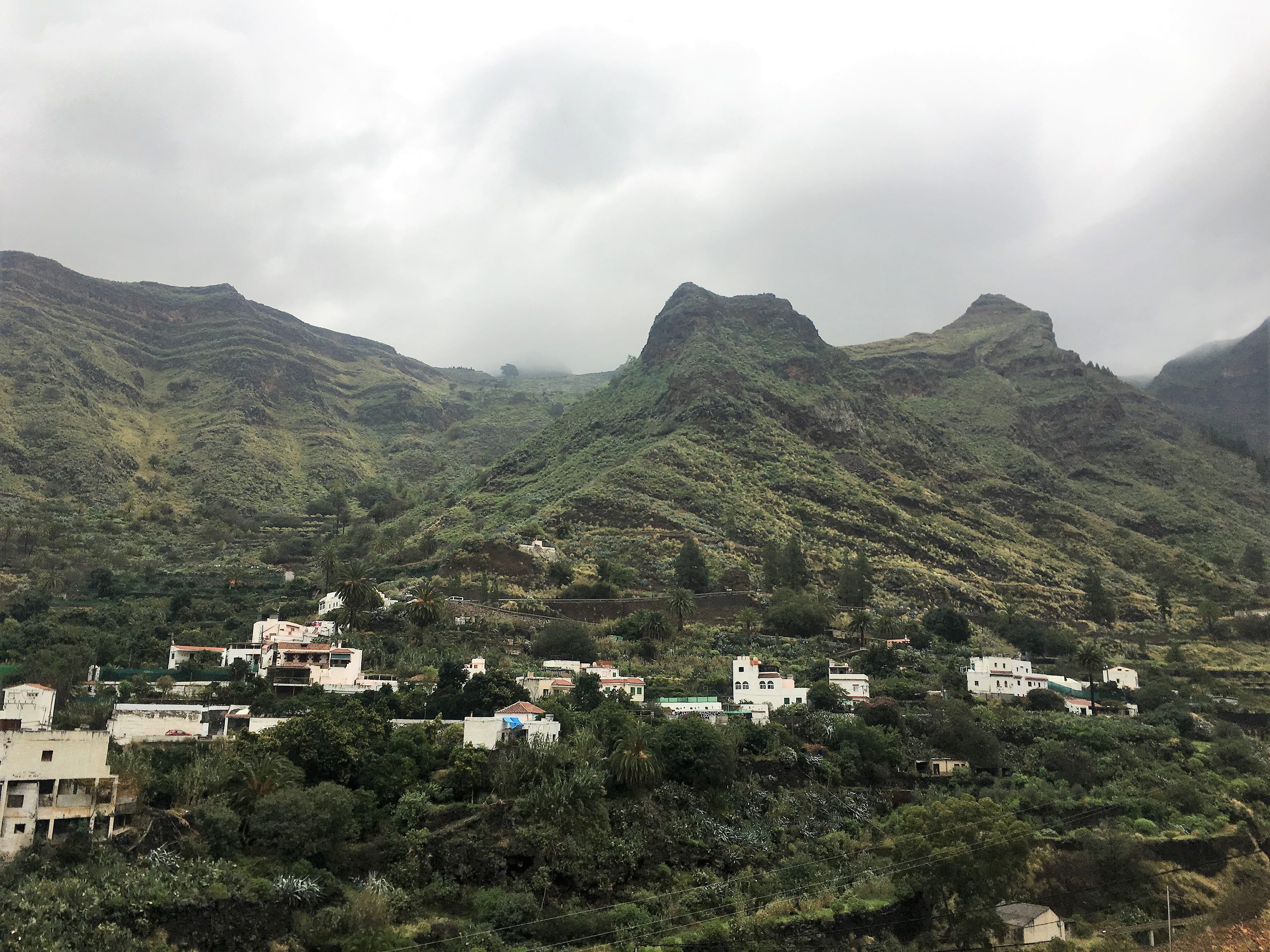 Gran Canaria Activities The view from the vineyard across the Valle de Agaete