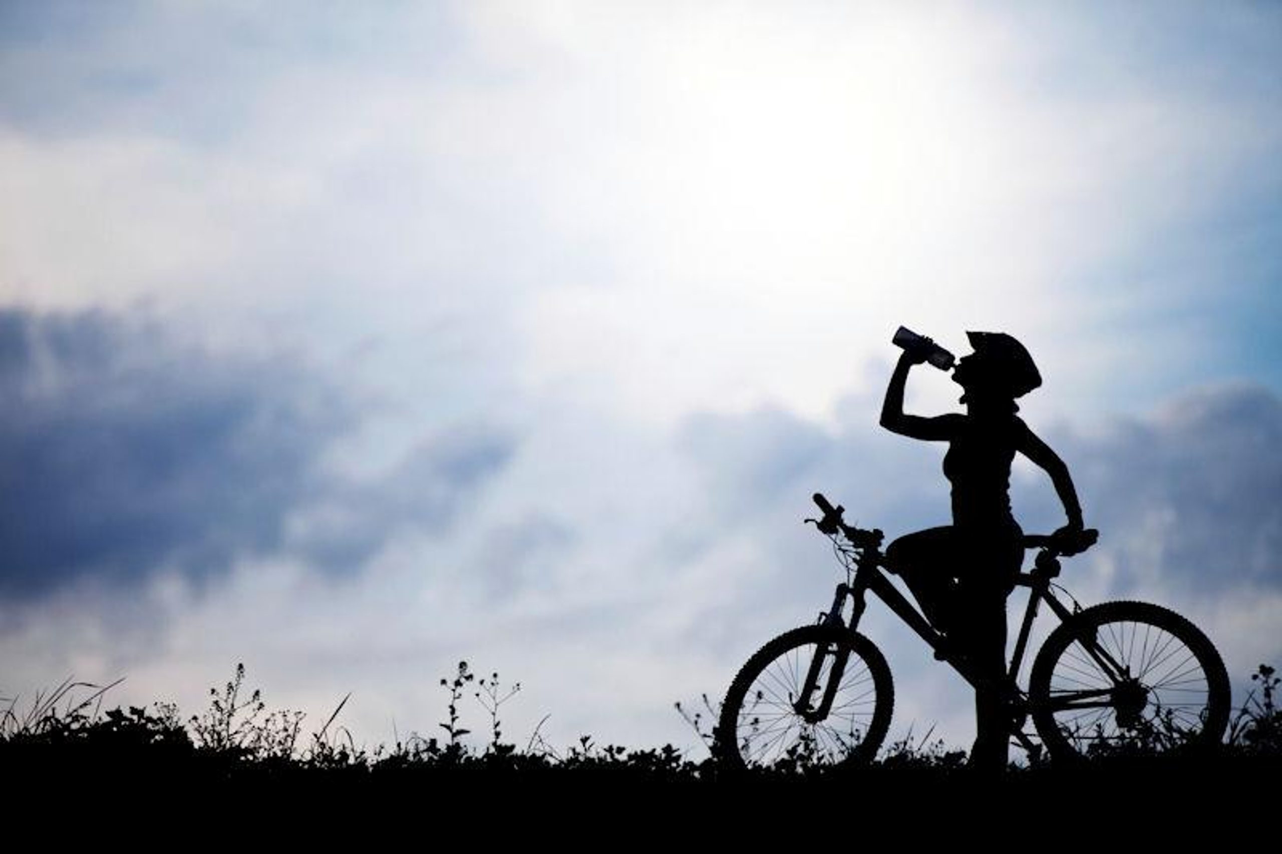 Action-packed holidays 
