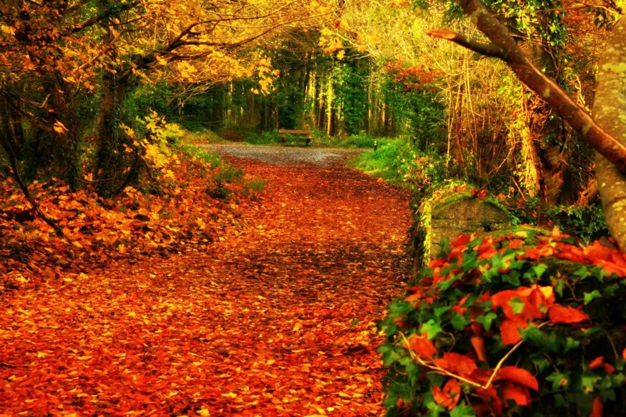 Buggy Friendly Walks