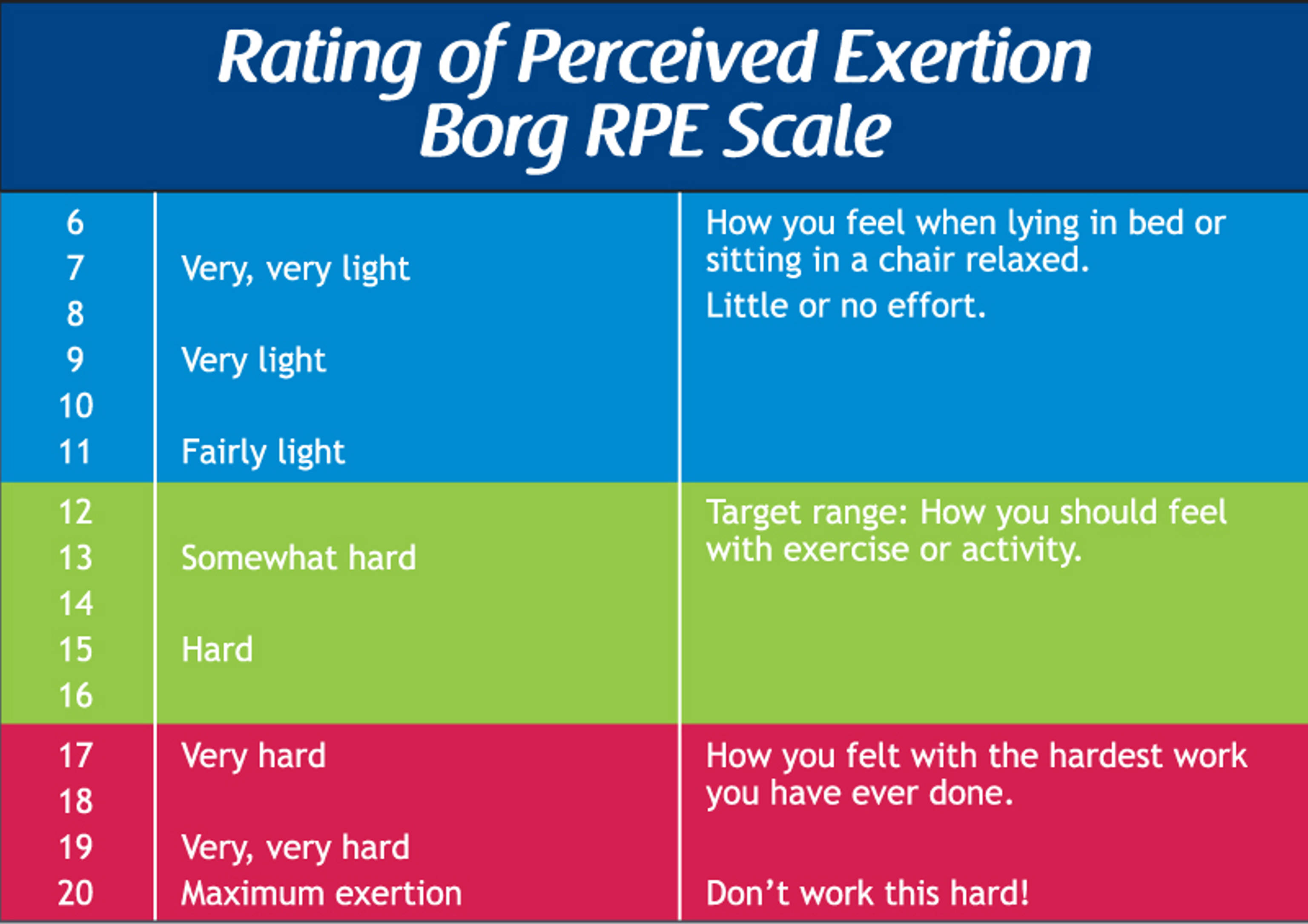 Borg-scale-1