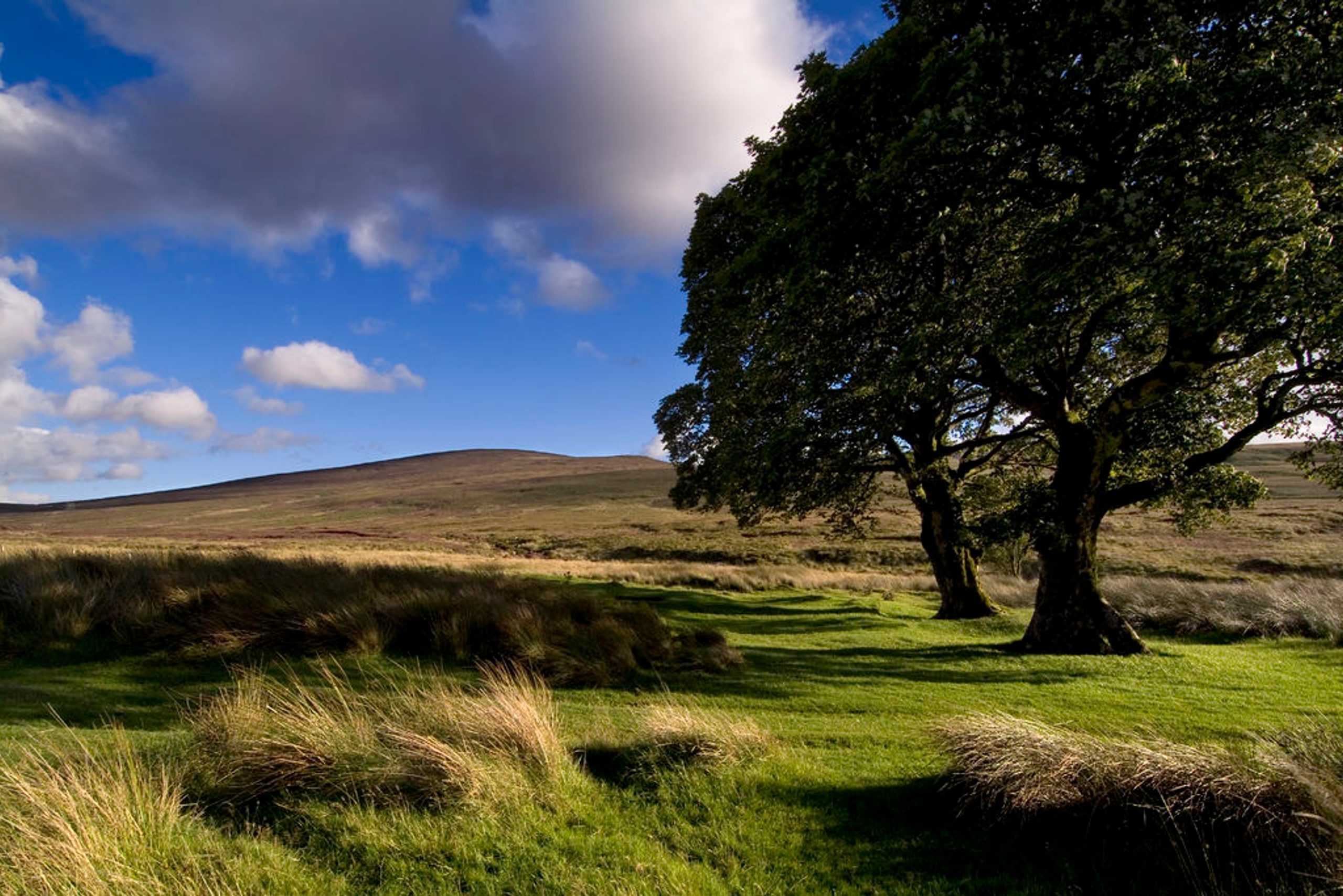 Things to do in Wicklow