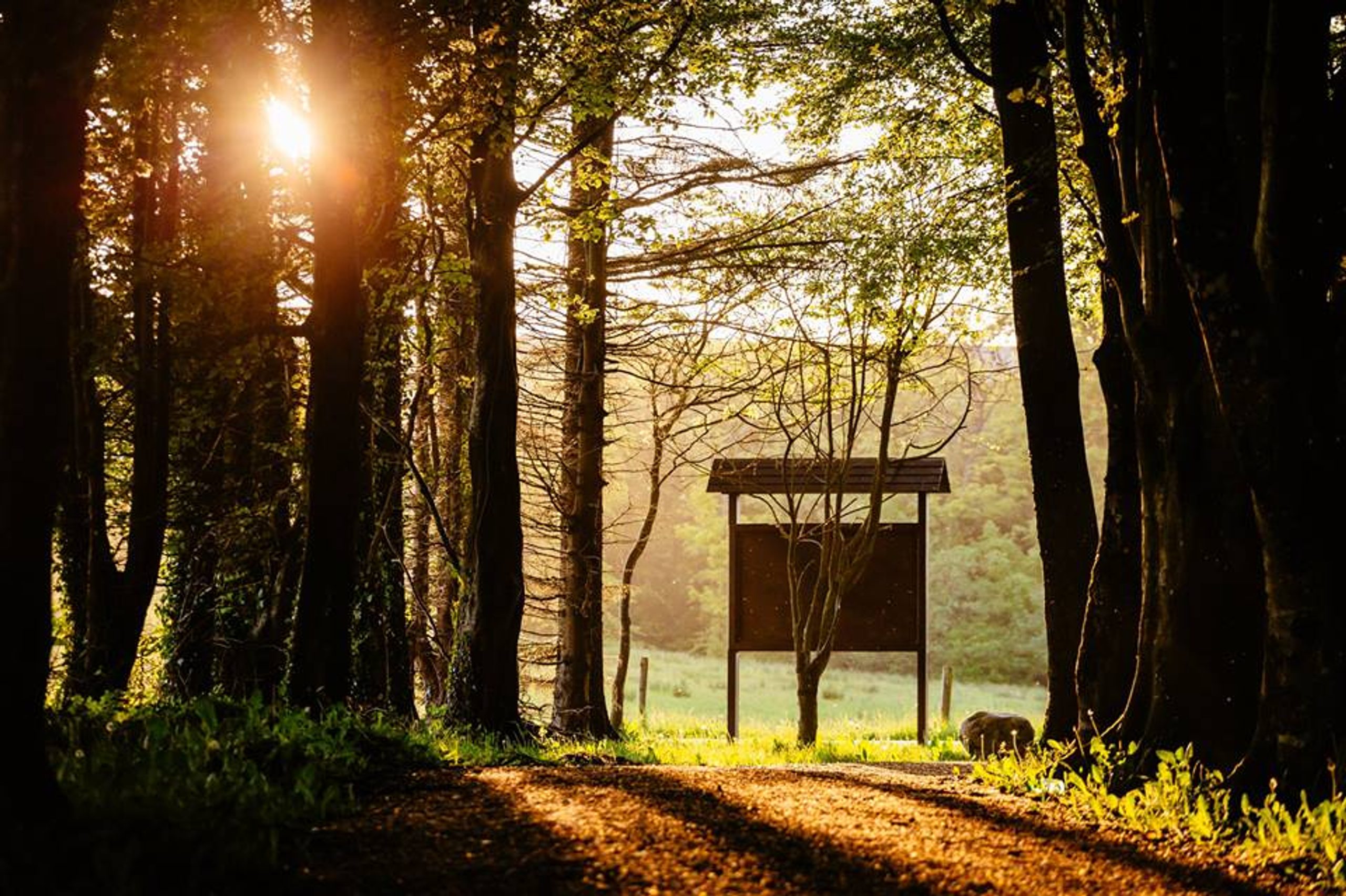 Buggy Friendly Walks 