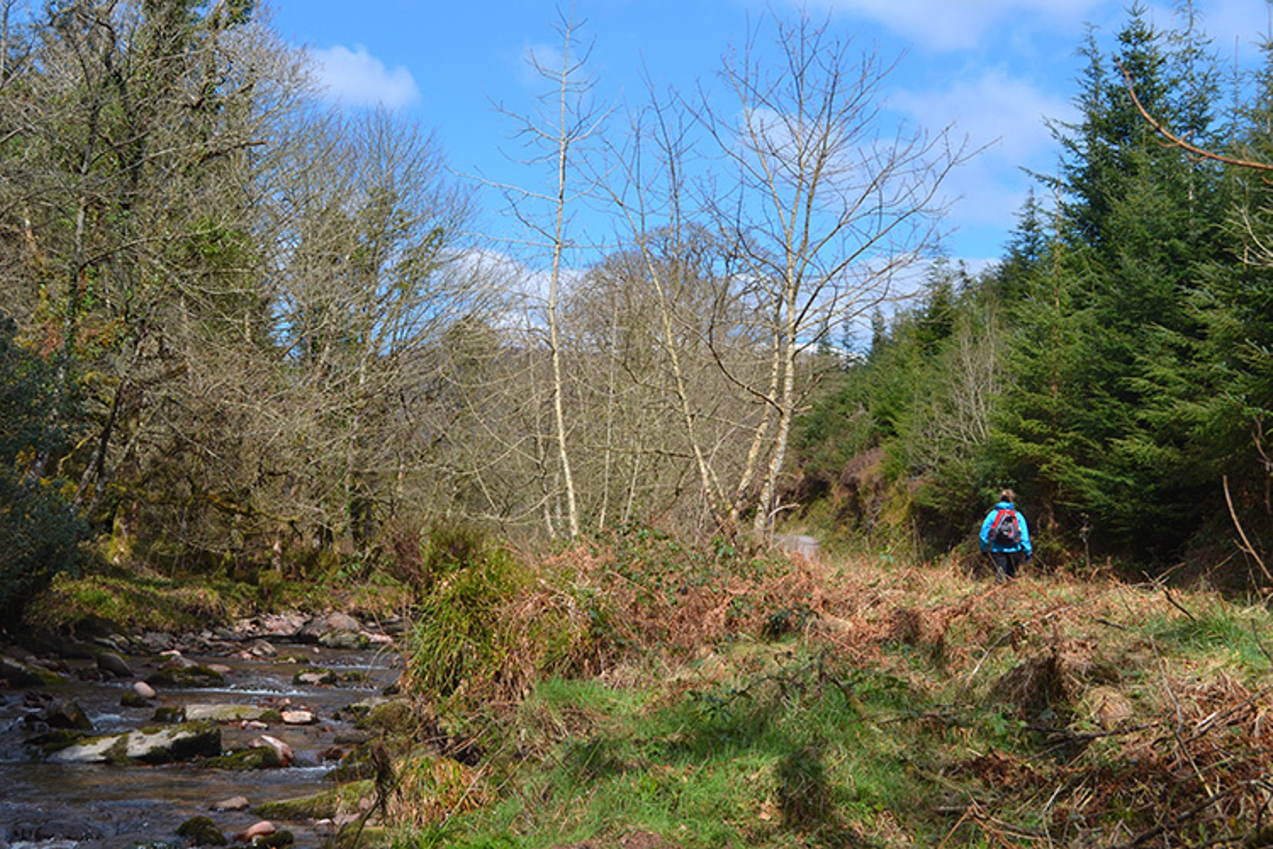 Galtee Mountains