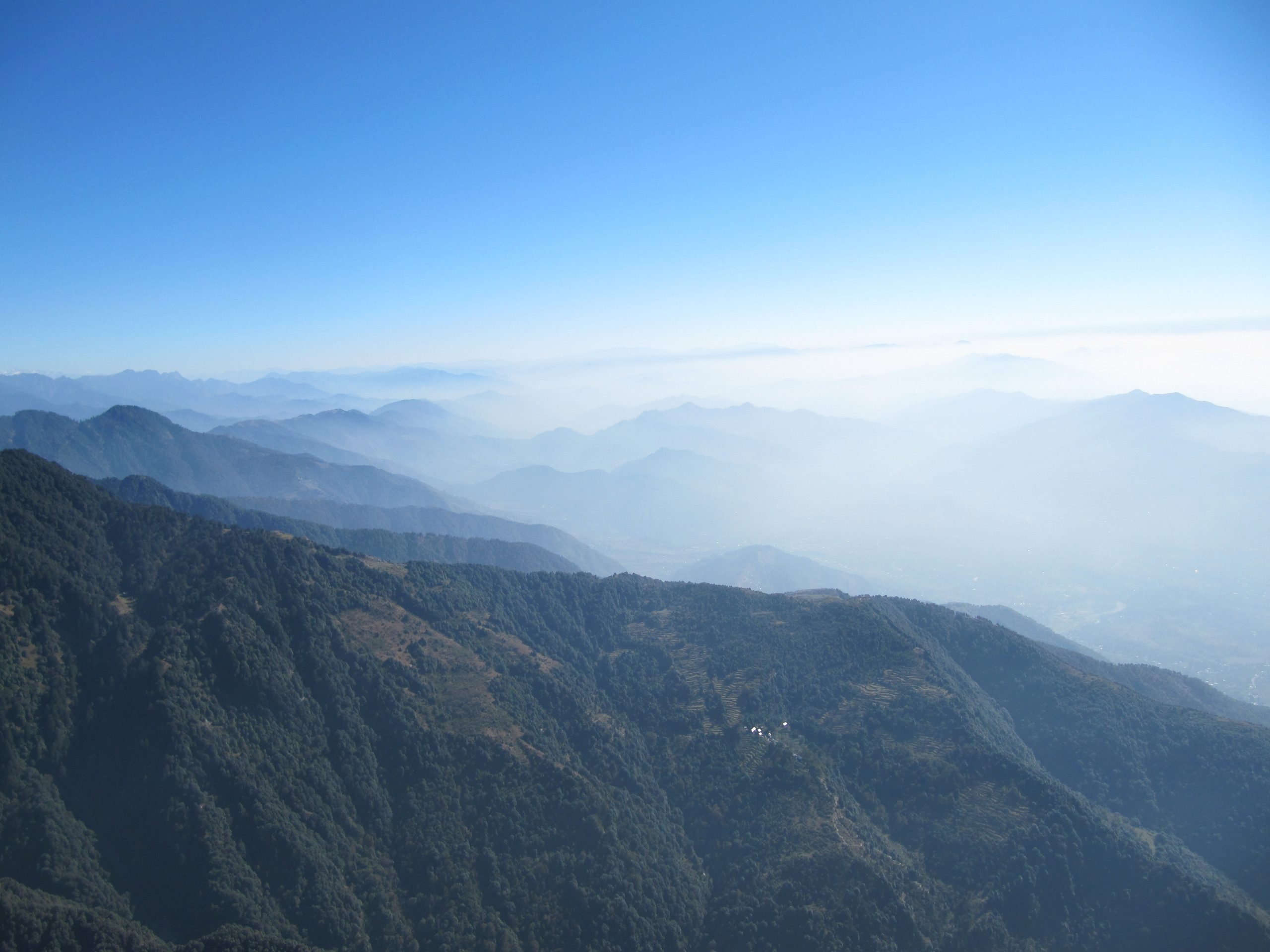 Paragliding in Bir, India