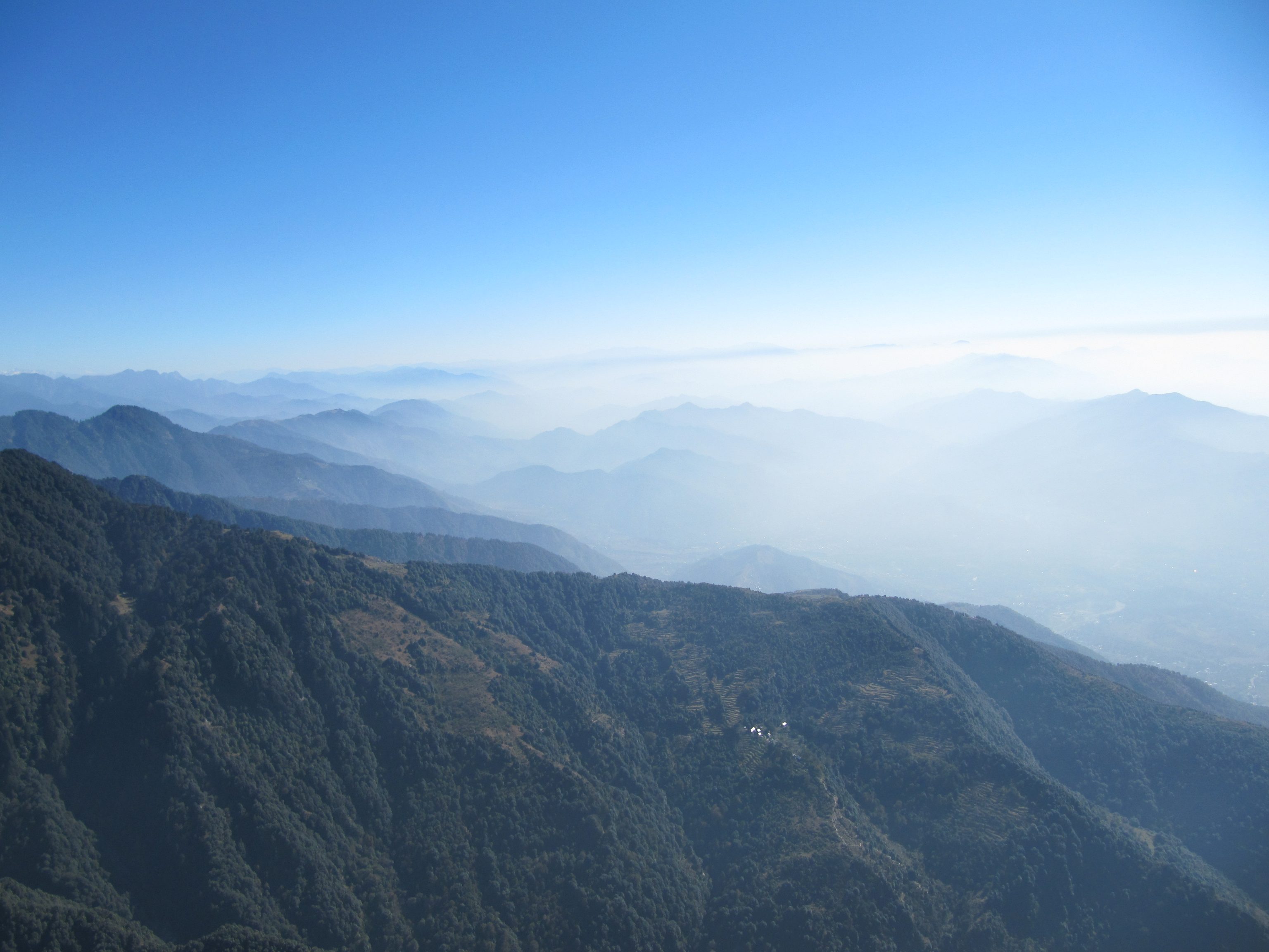Paragliding in Bir, India