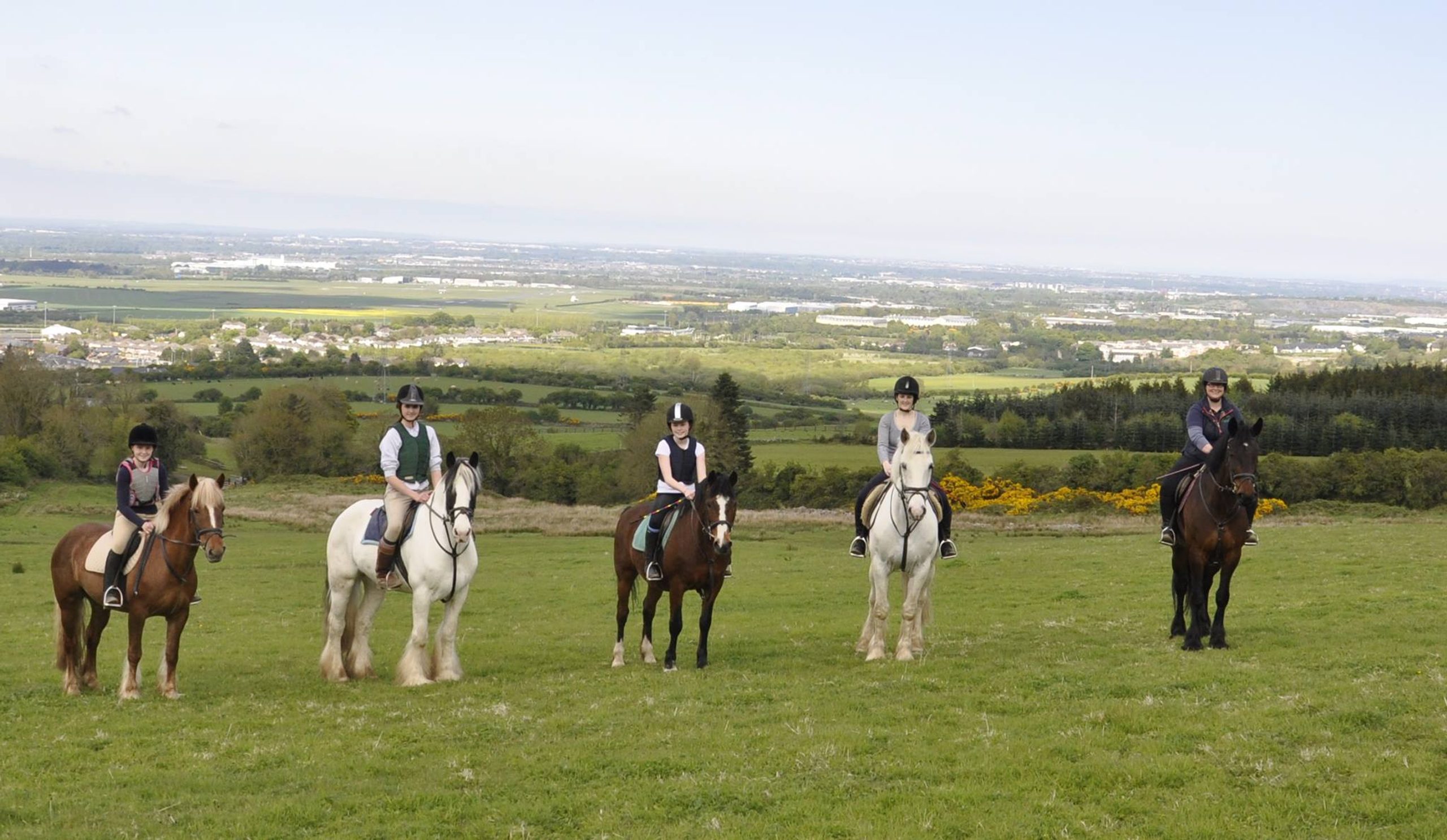 Things to Do in Kildare