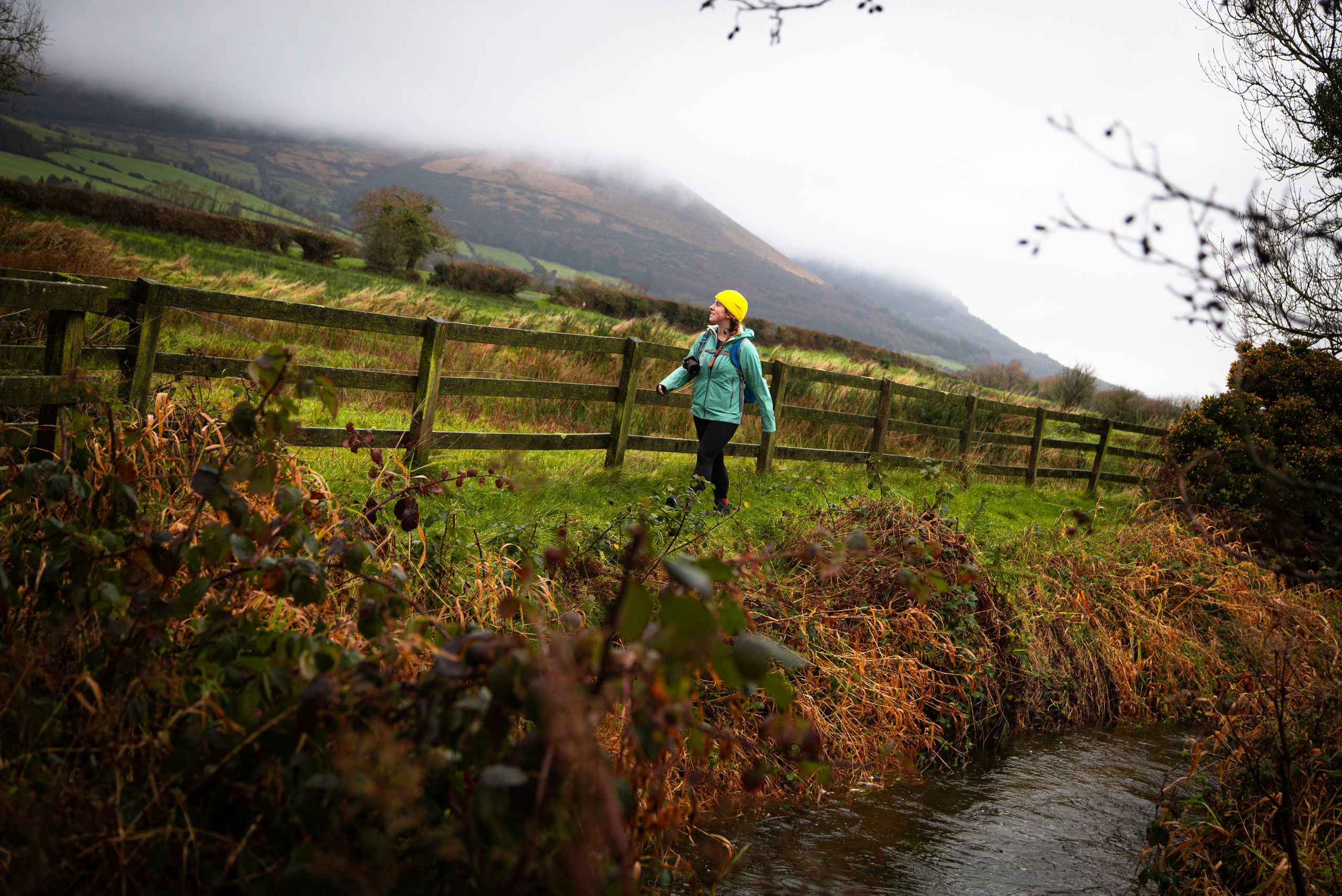 Ballyhoura Walking Festival