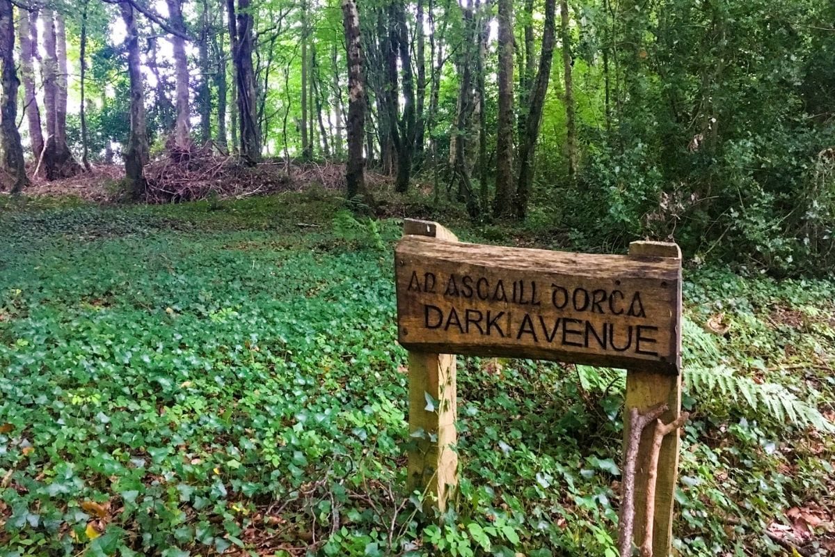 Enniscoe Loop Walk
