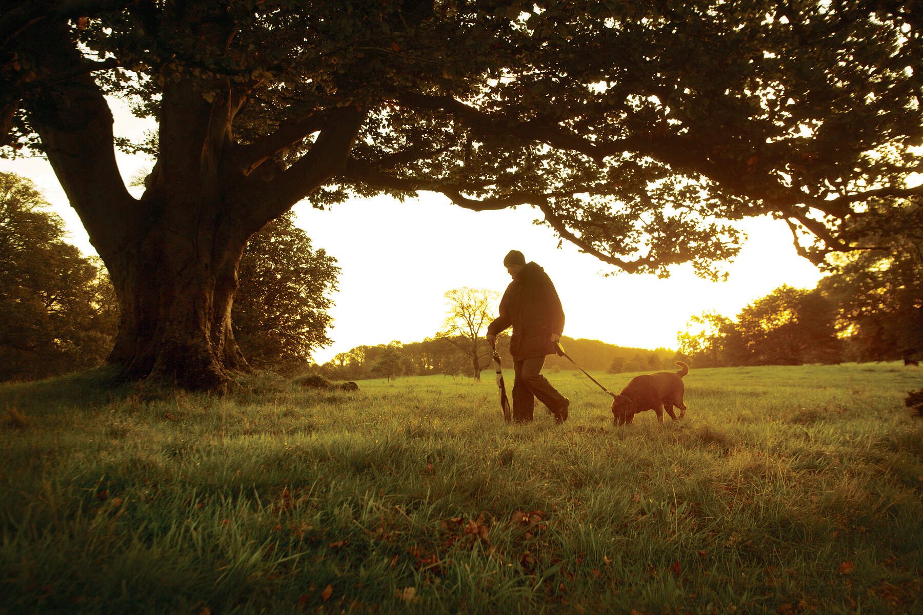 Castlewellan best walks in ireland