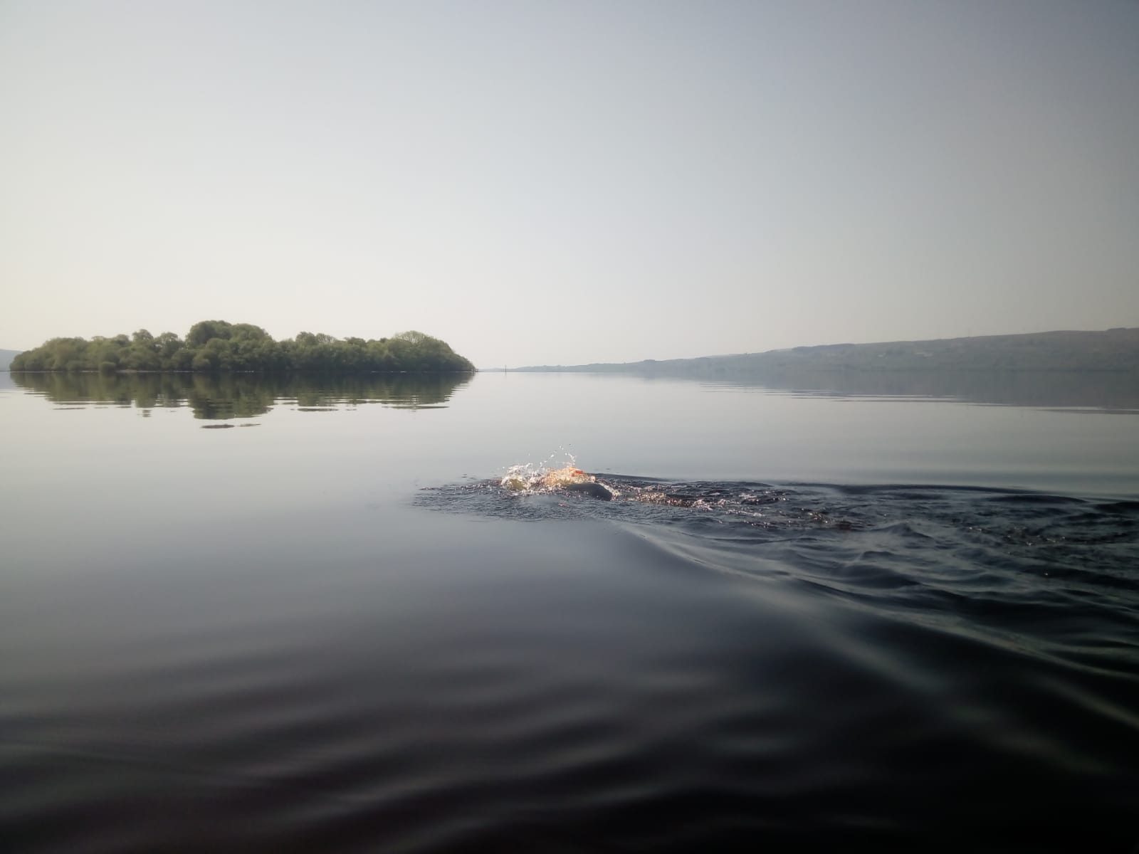 Paddy McDonnell Swimming the Shannon