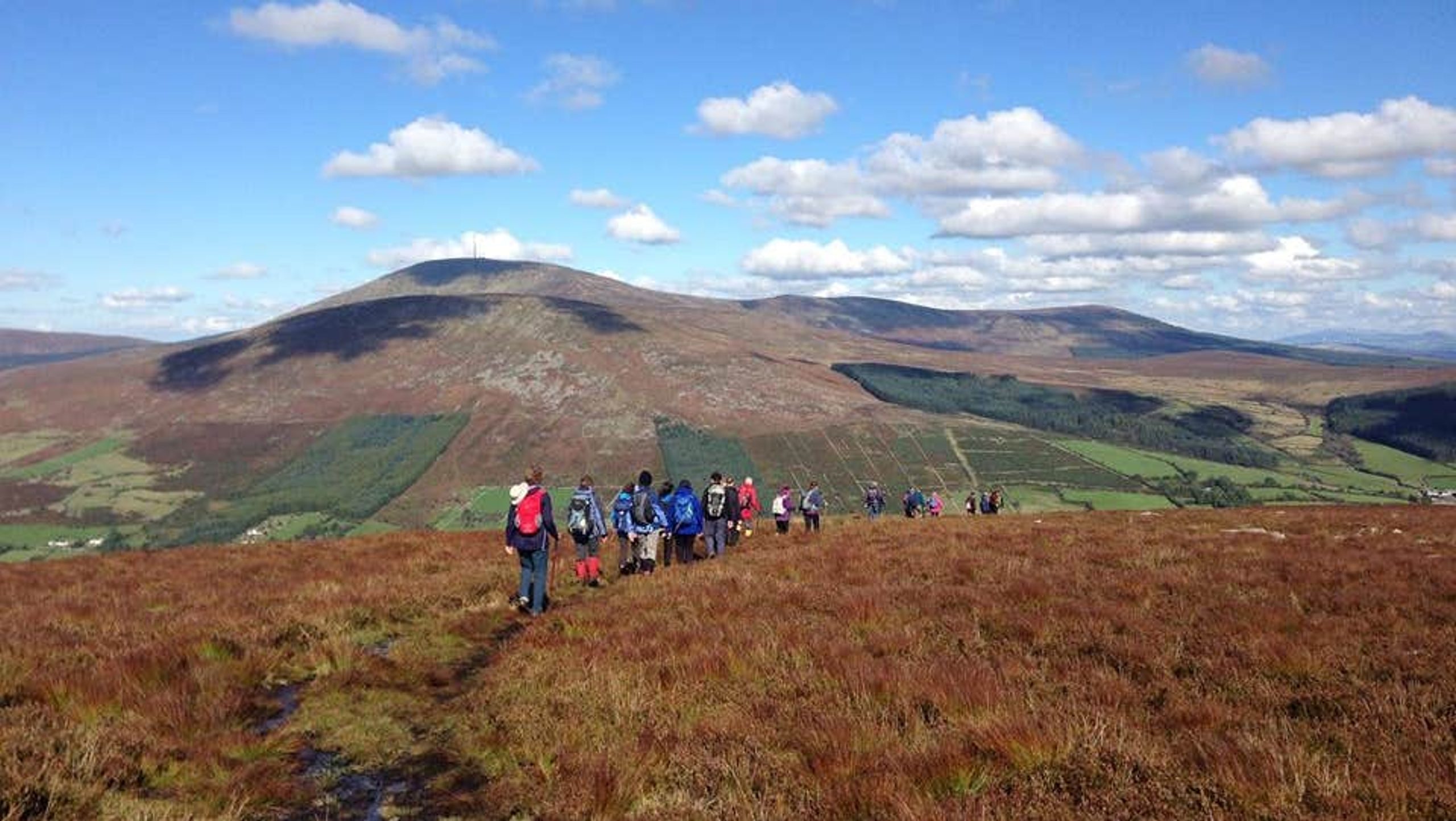 Carlow walking festival