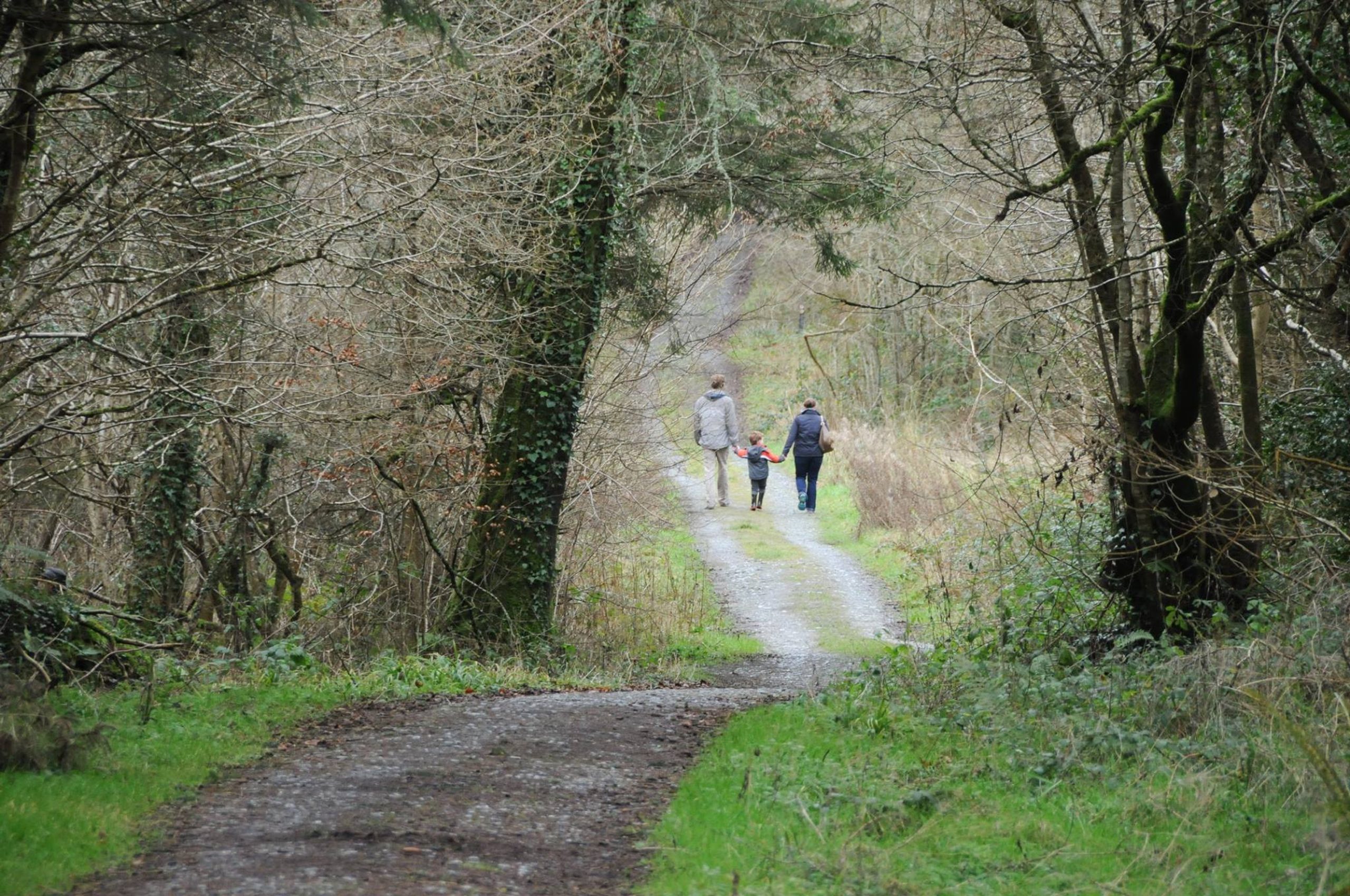 Family-Friendly Hikes Leinster