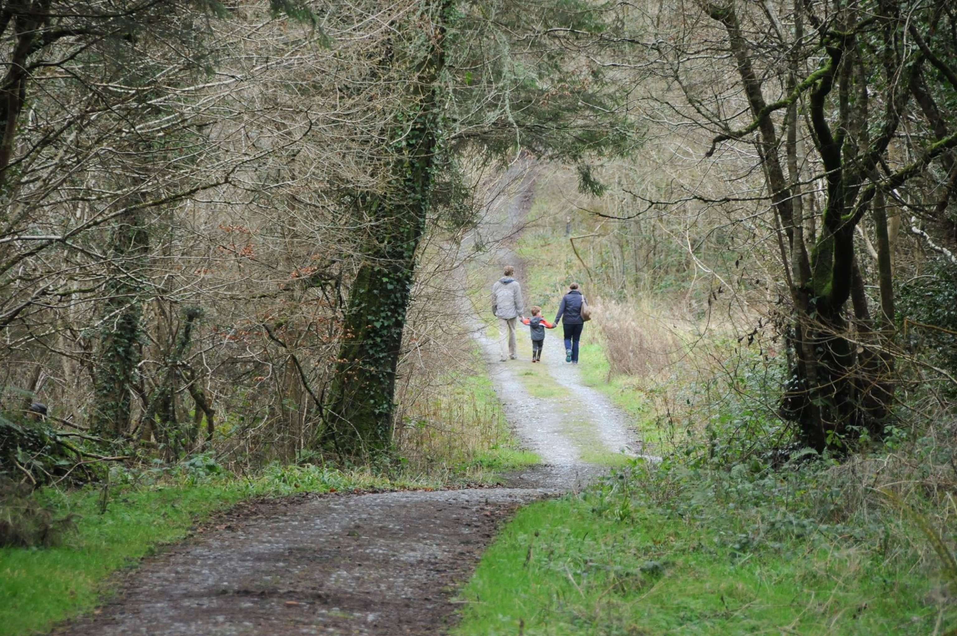 Family-Friendly Hikes Leinster