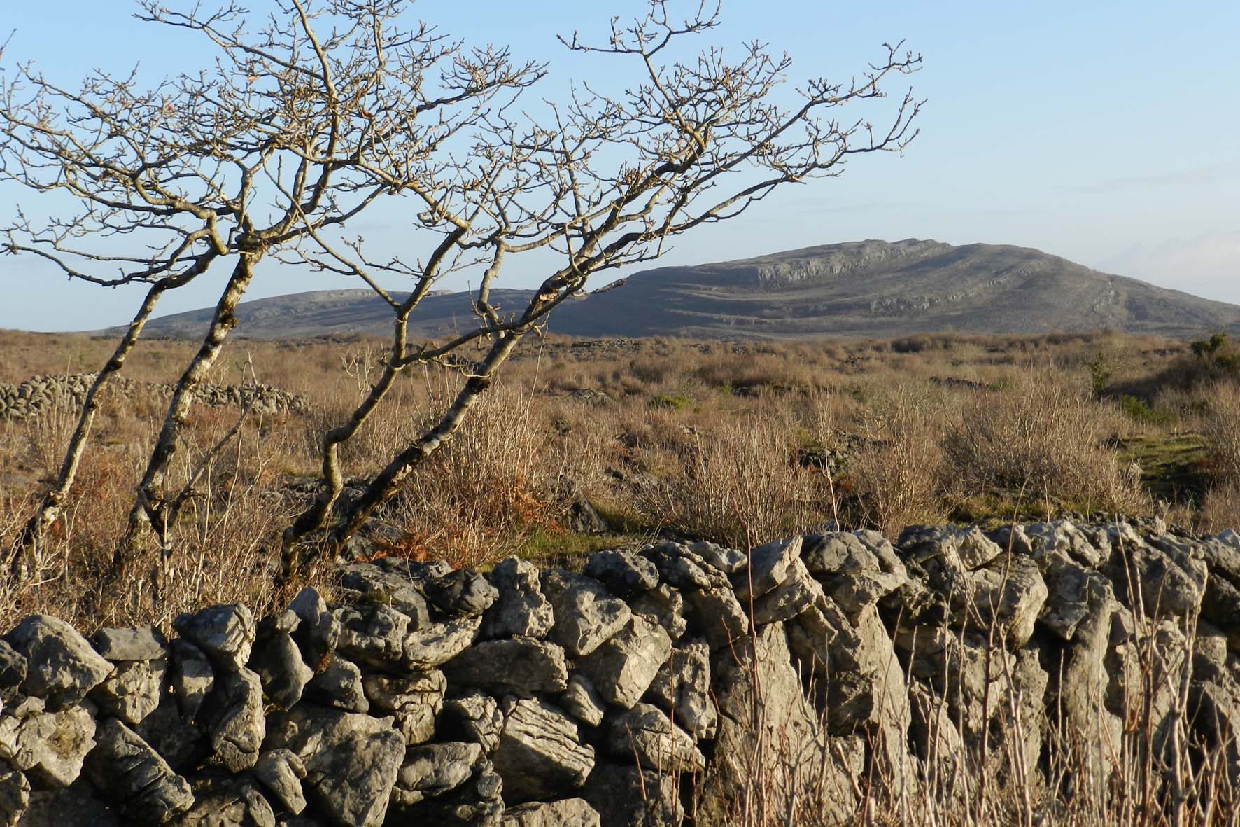the Lough Avalla Farm Loop. Image: Art to Heart Blog