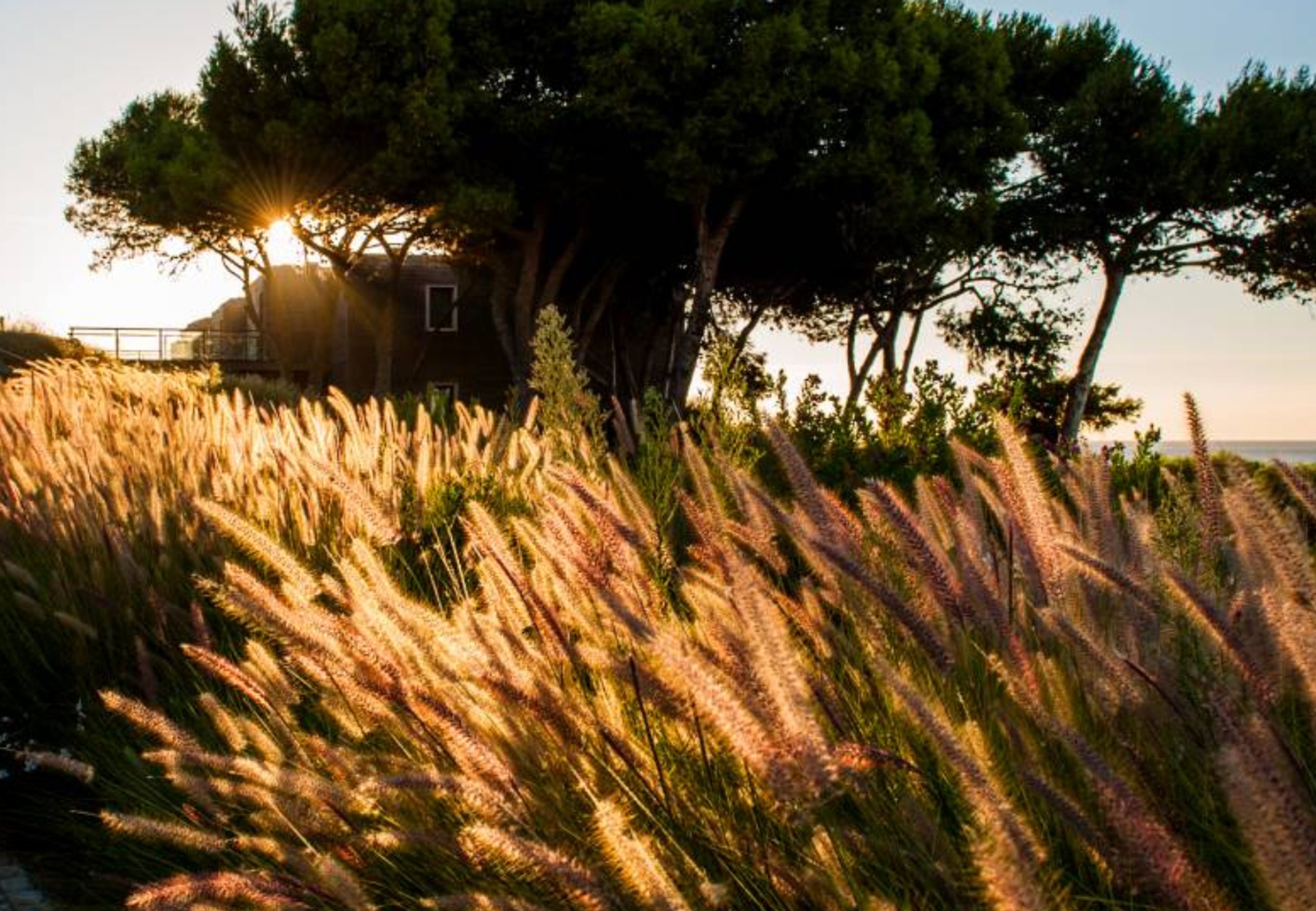 winter sun holiday destinations