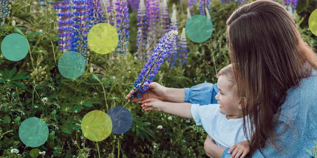 Mother helping her young child reach toward tall purple flowers in a lush garden.
