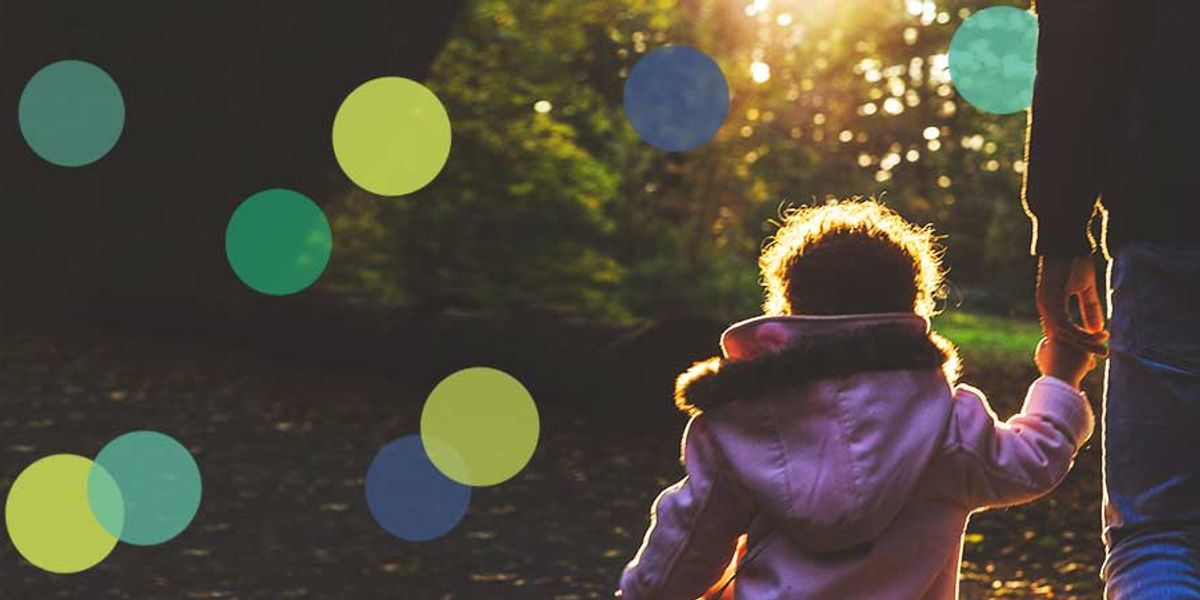 Child in a pink coat holding an adult’s hand while walking through a sunlit forest path.