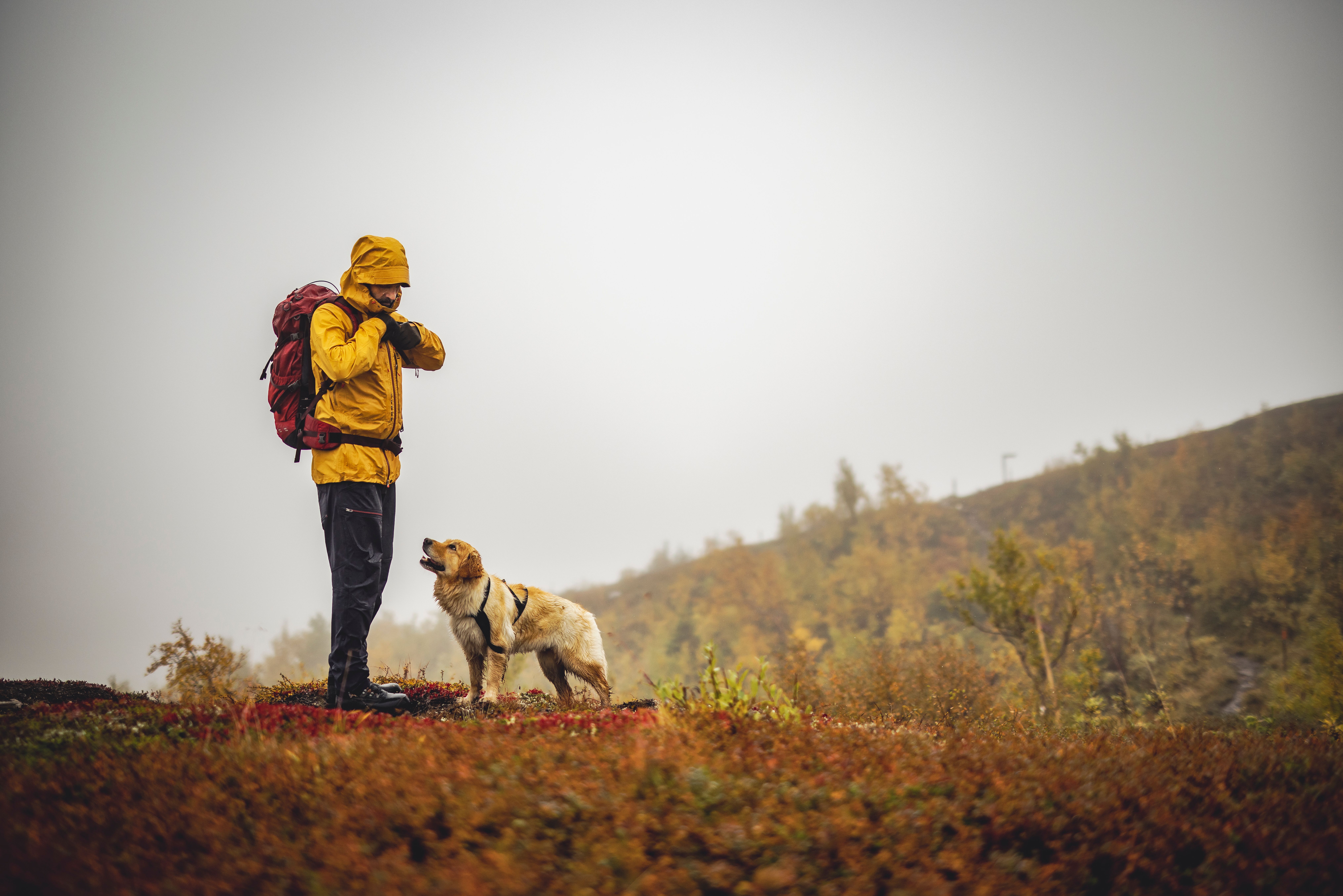 Hestra outdoor gloves in use, hiking in the mountains
