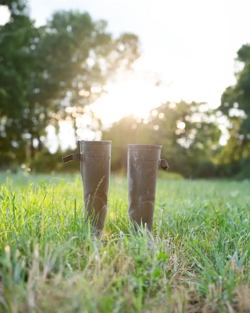Avignon Gummistövlar