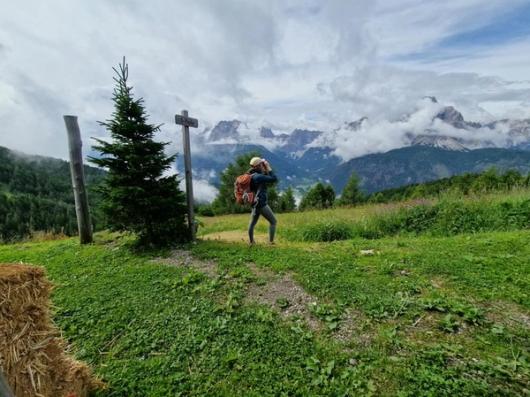 An alpine meadow with signpost and lone evergreen tree, next to them Jane is looking out through binos into the distance. In the background the rocky peaks are cloaked in clouds.