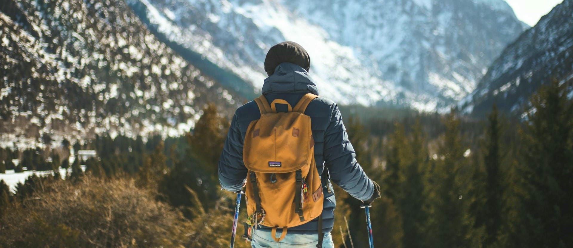 A hiker wearing a Patagonia backpack and holding hiking poles looking out into a snowy mountain and forest.