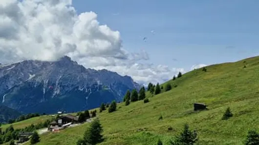 Photo of alpine meadows, trees and rocky peaks in the background, with paragliders dotted across the sky